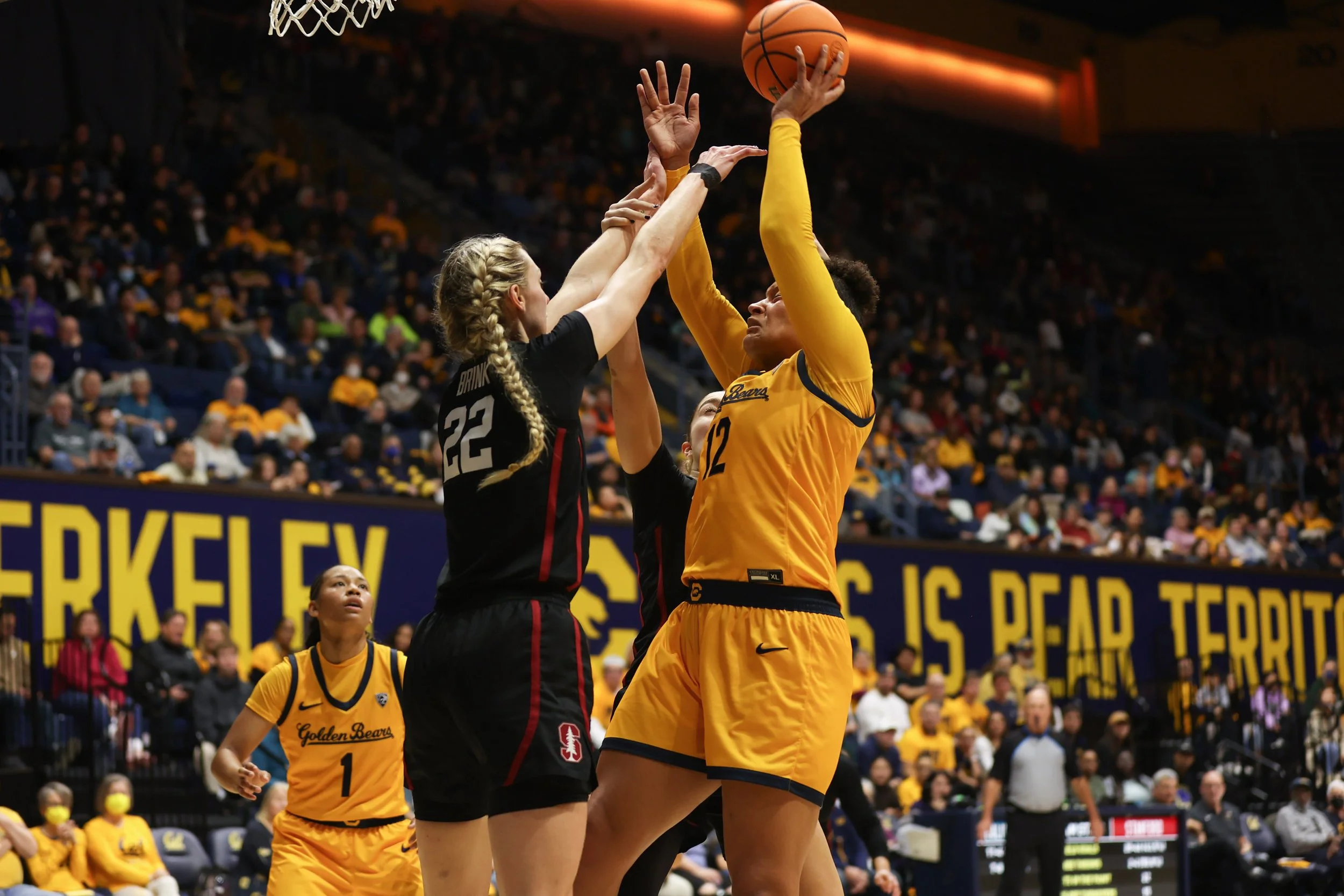basketball-53.jpg