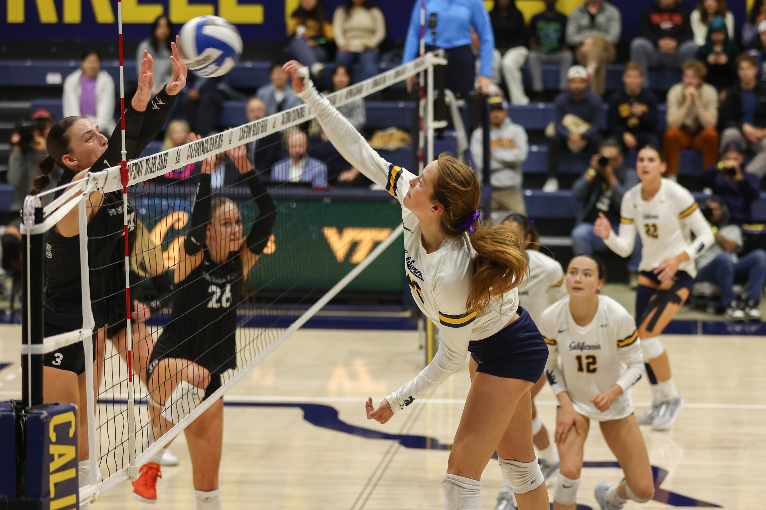 volleyball-3.jpg