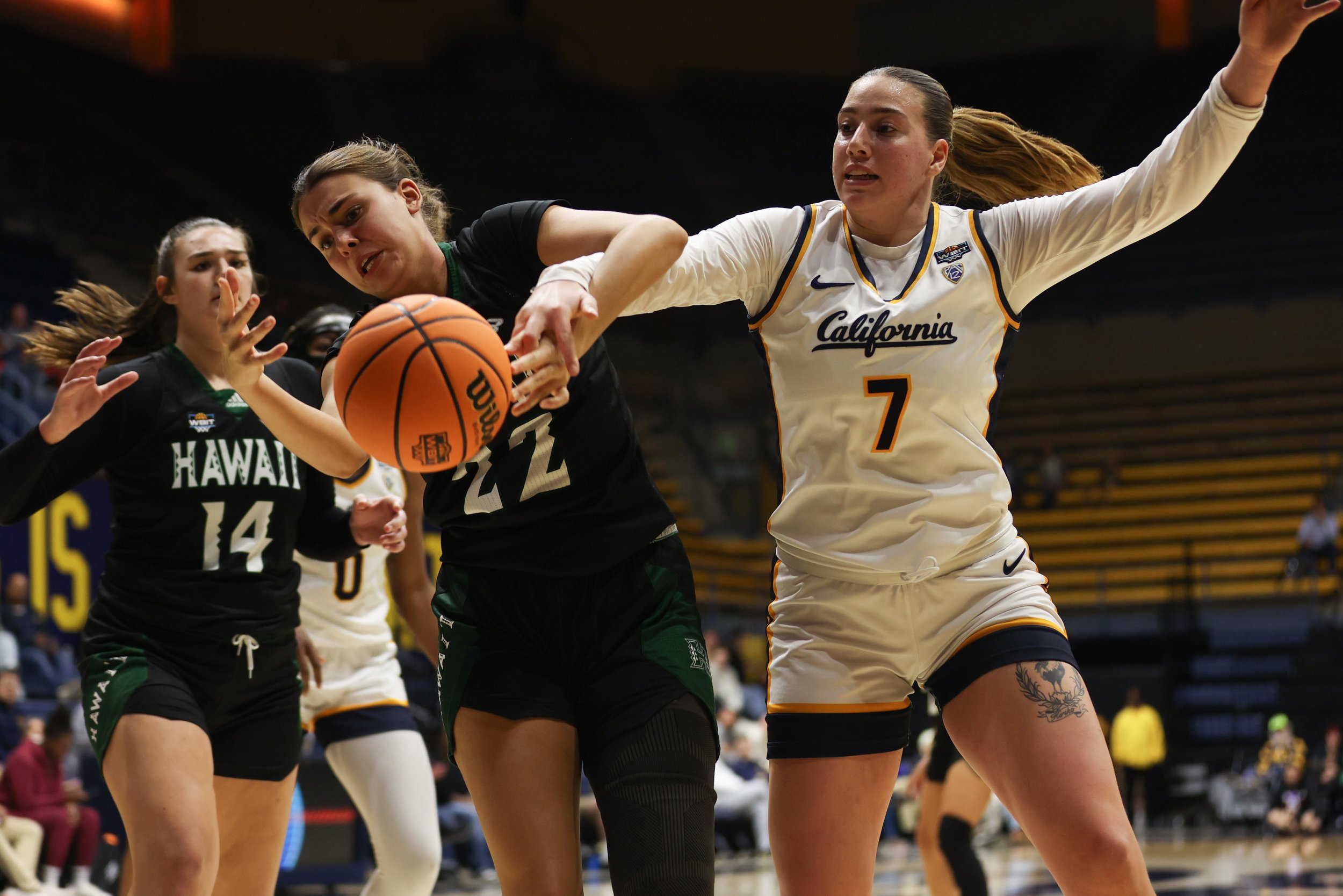 basketball-27.jpg