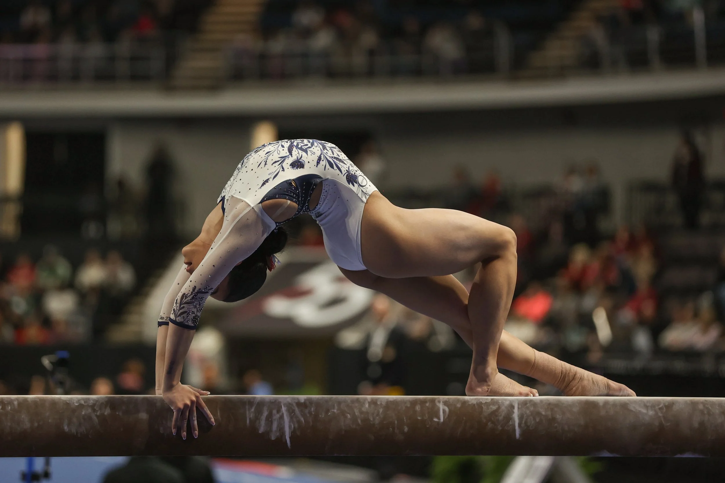 gymnastics-11.jpg