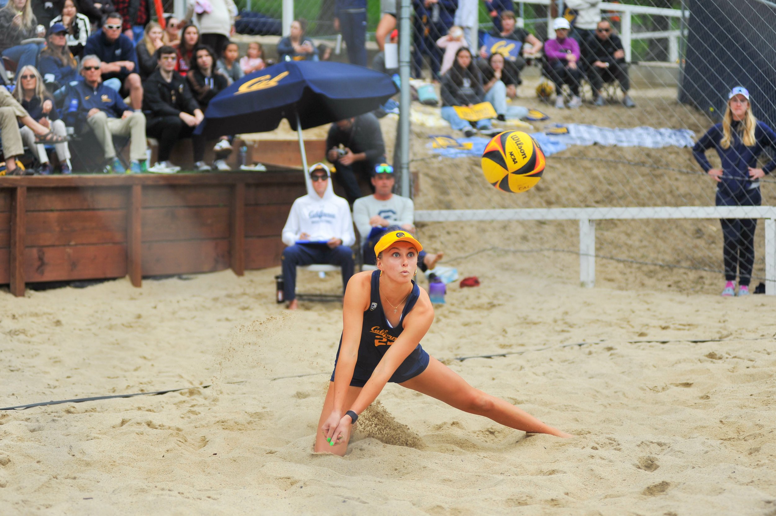 volleyball-16.jpg