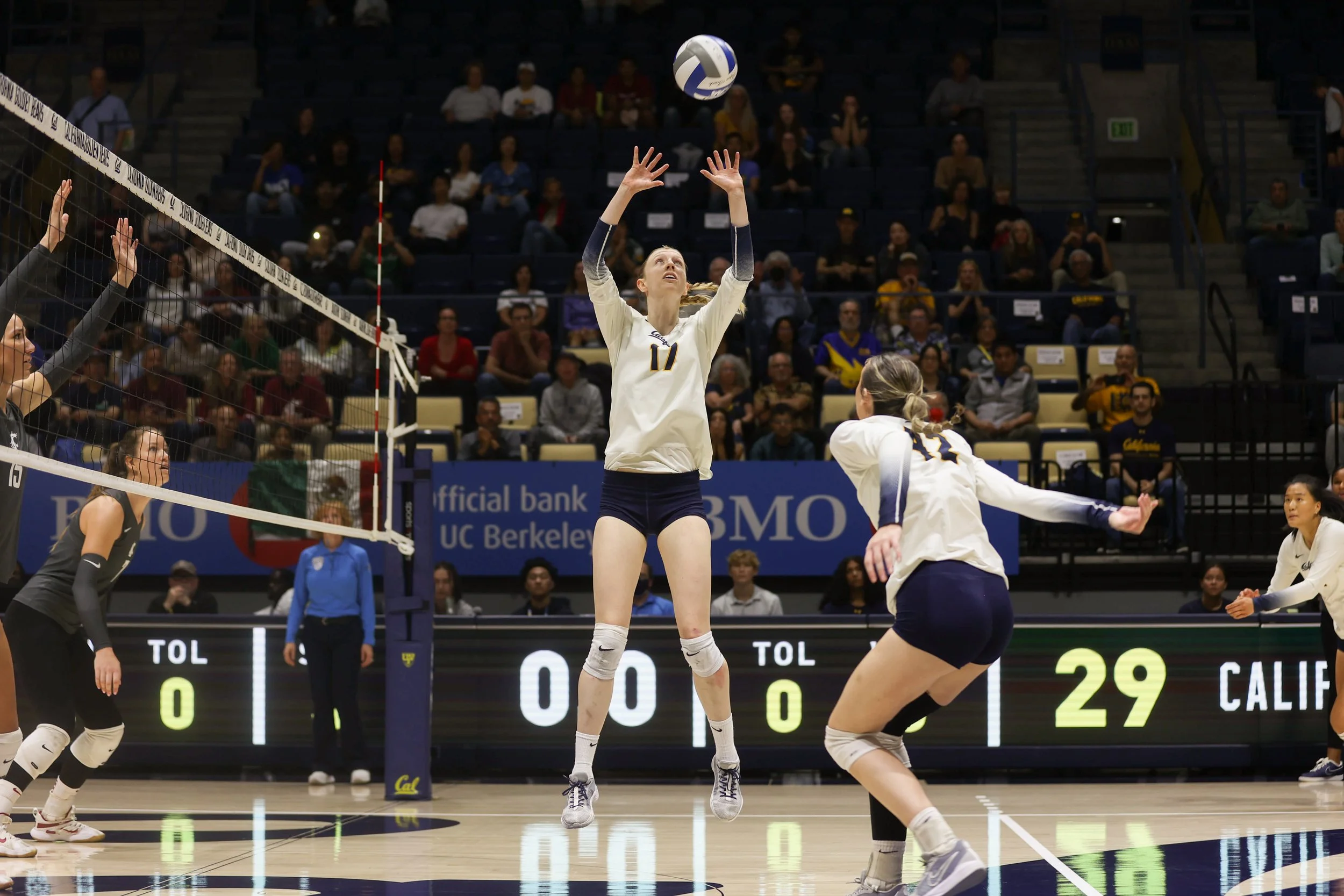 volleyball-5.jpg