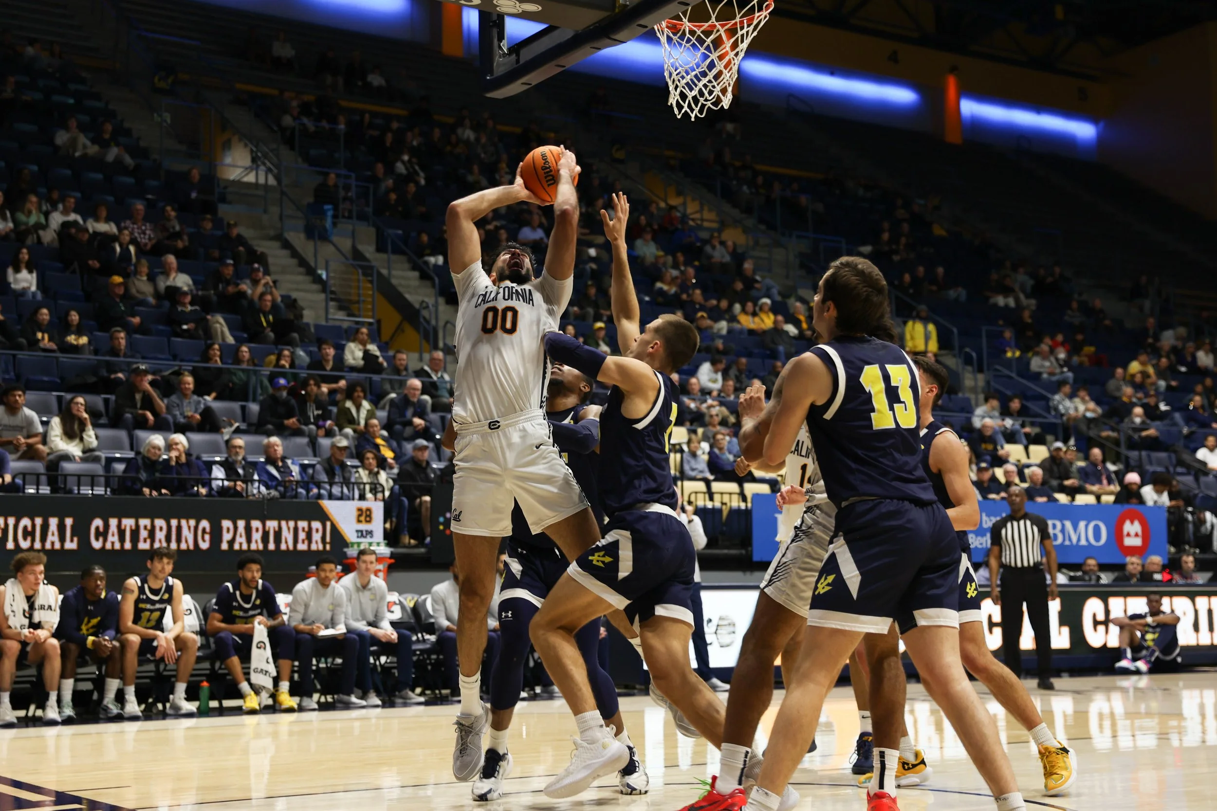 basketball-60.jpg
