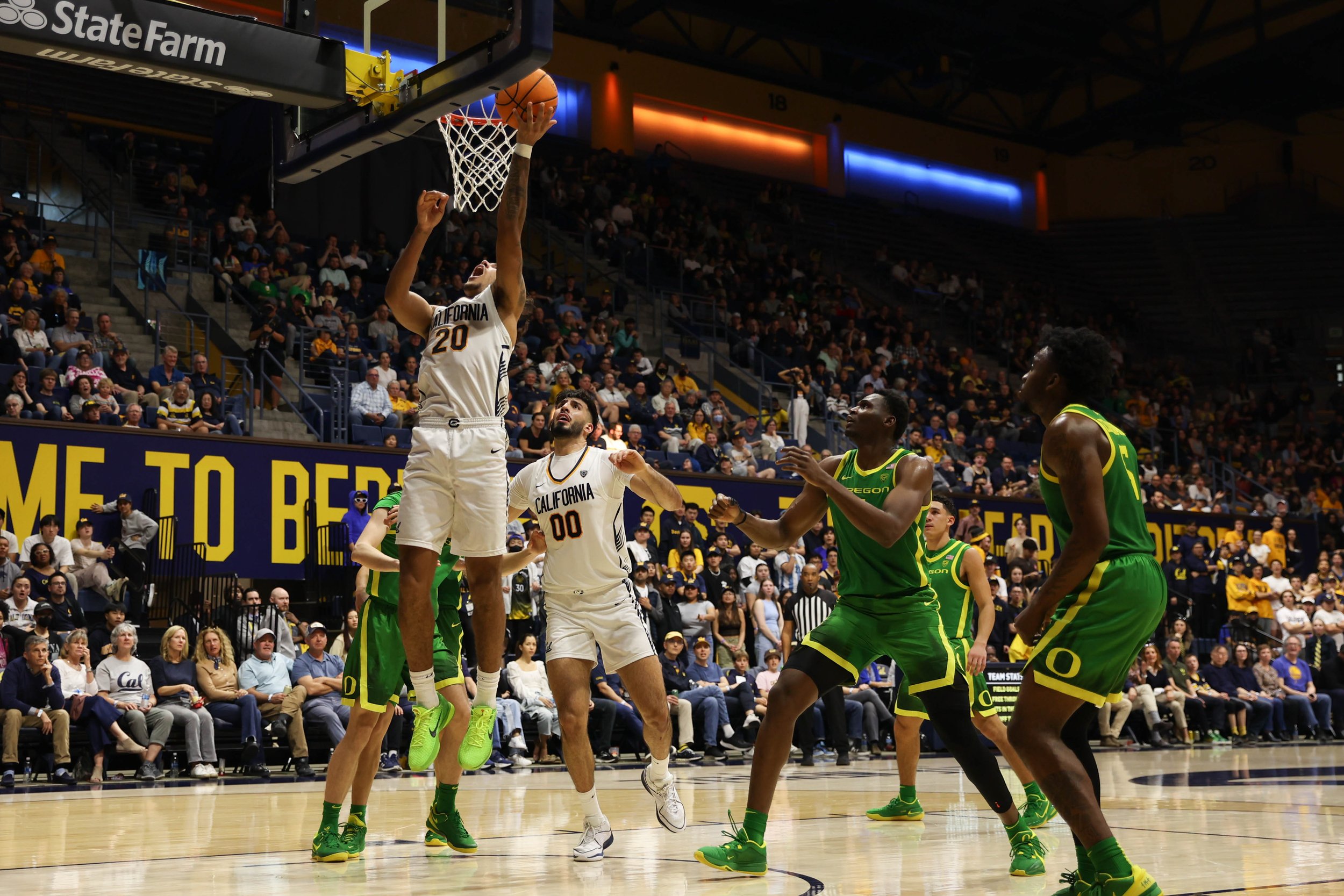 basketball-33.jpg