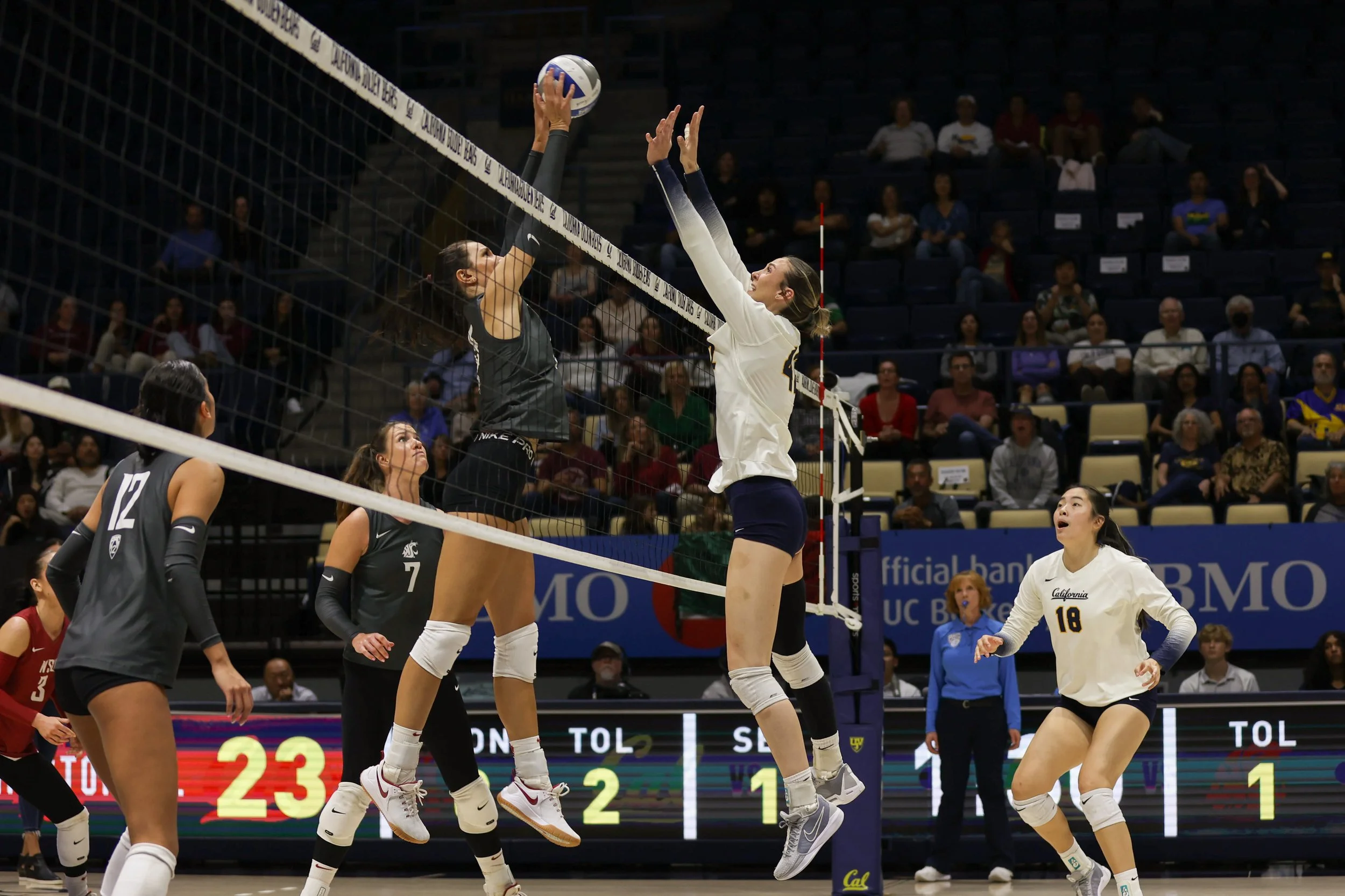 volleyball-9.jpg