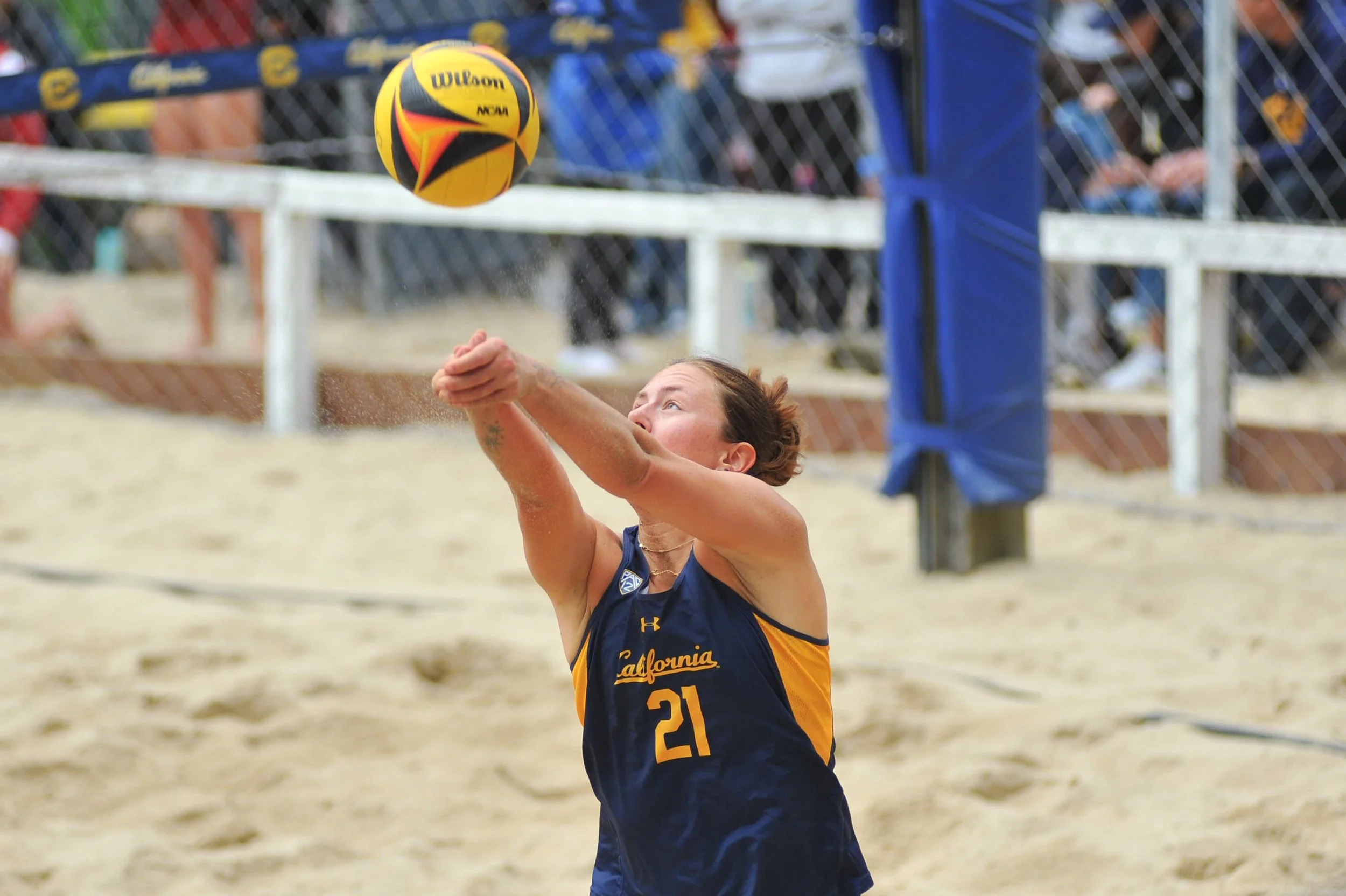 volleyball-17.jpg