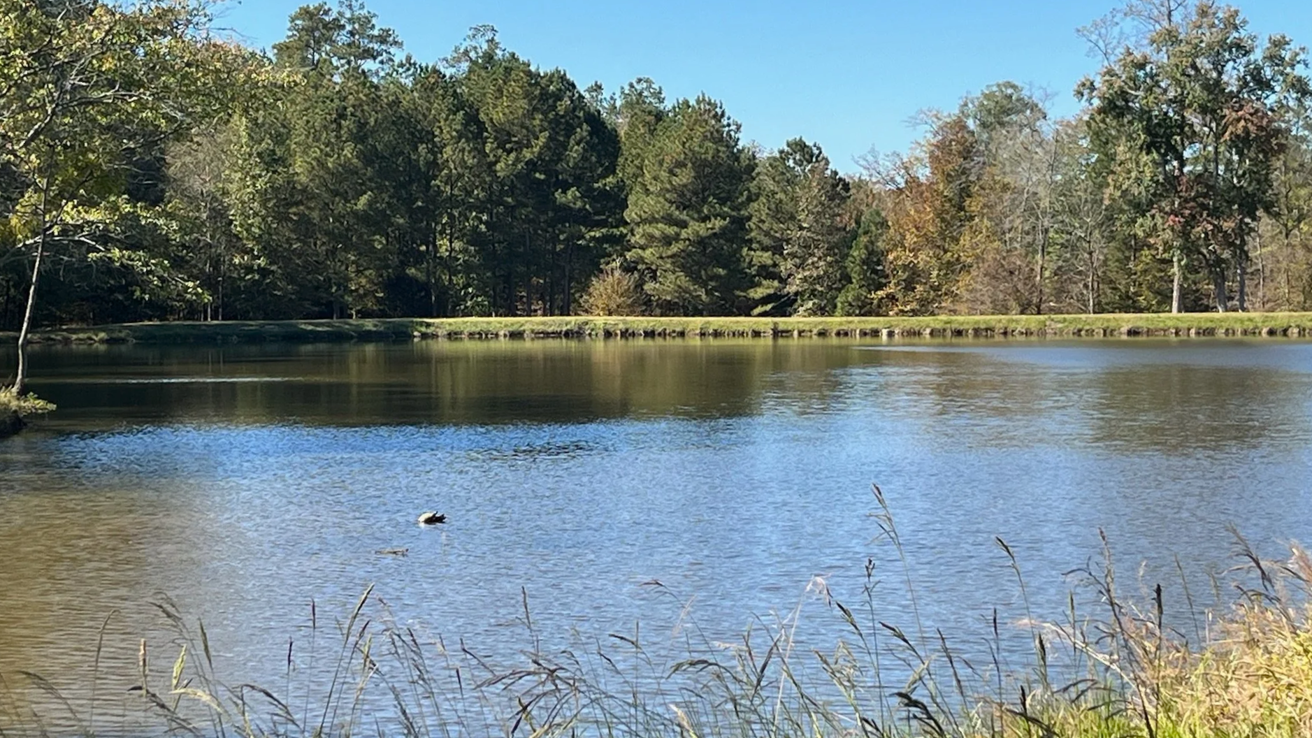 RuffwoodCountryClub_ViewsVistas_WideOpenSpaces24.png