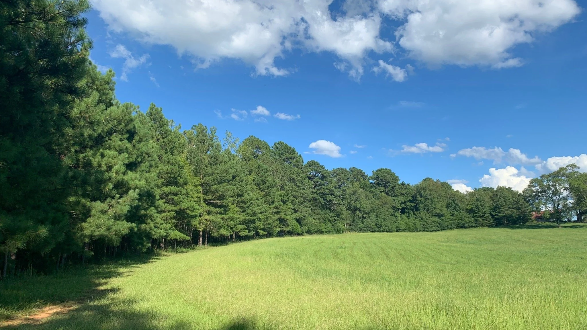 RuffwoodCountryClub_ViewsVistas_WideOpenSpaces10_16x9crop.png
