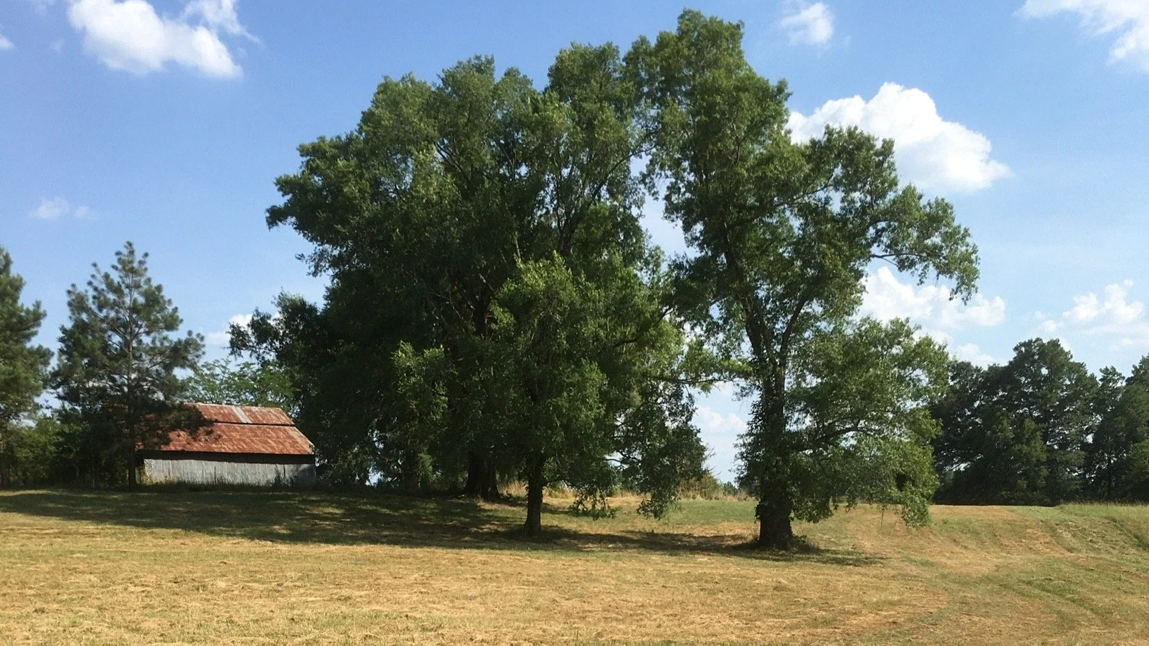 RuffwoodCountryClub_ViewsVistas_WideOpenSpaces02_16x9crop.png