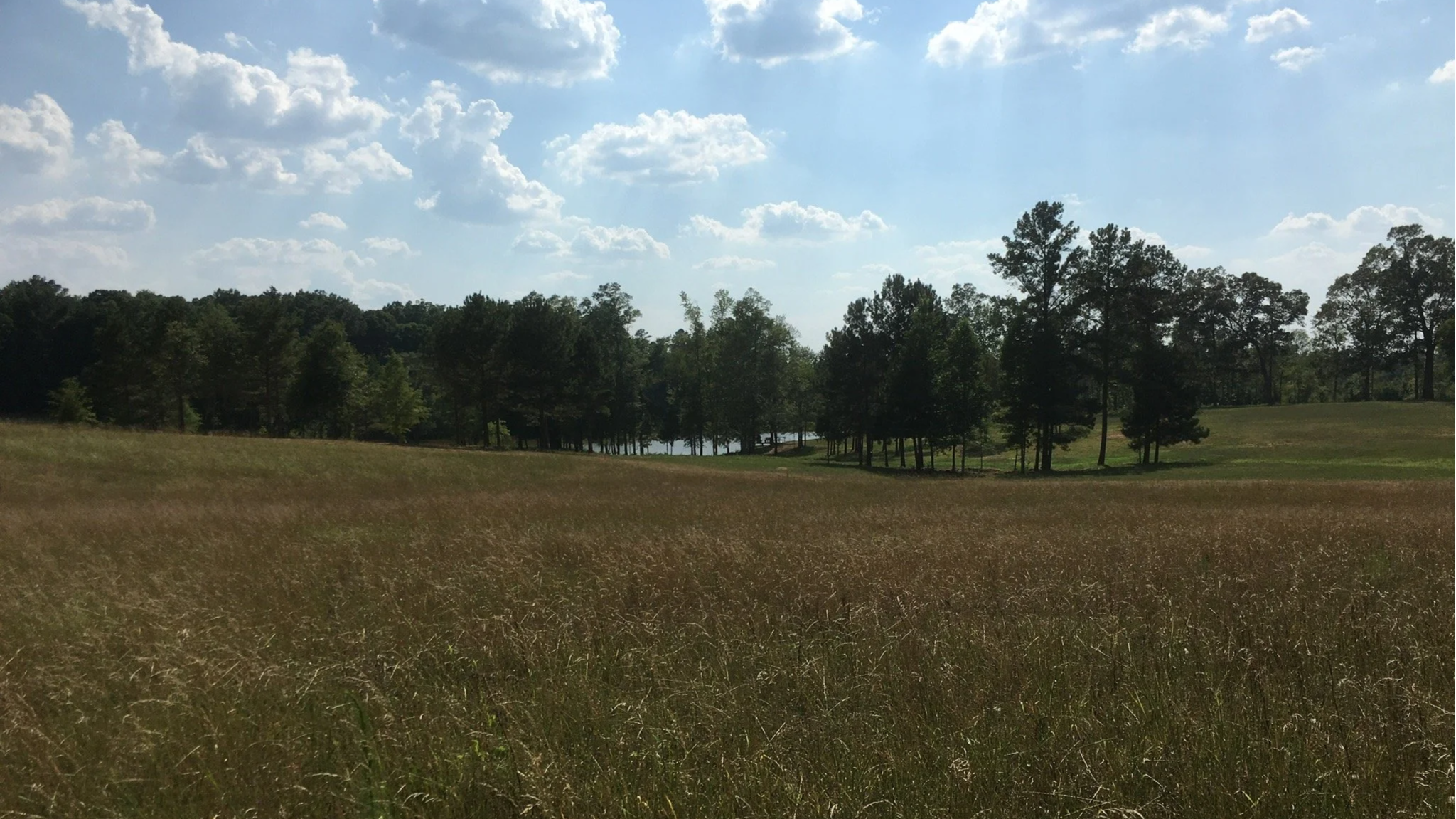 RuffwoodCountryClub_ViewsVistas_WideOpenSpaces01.png