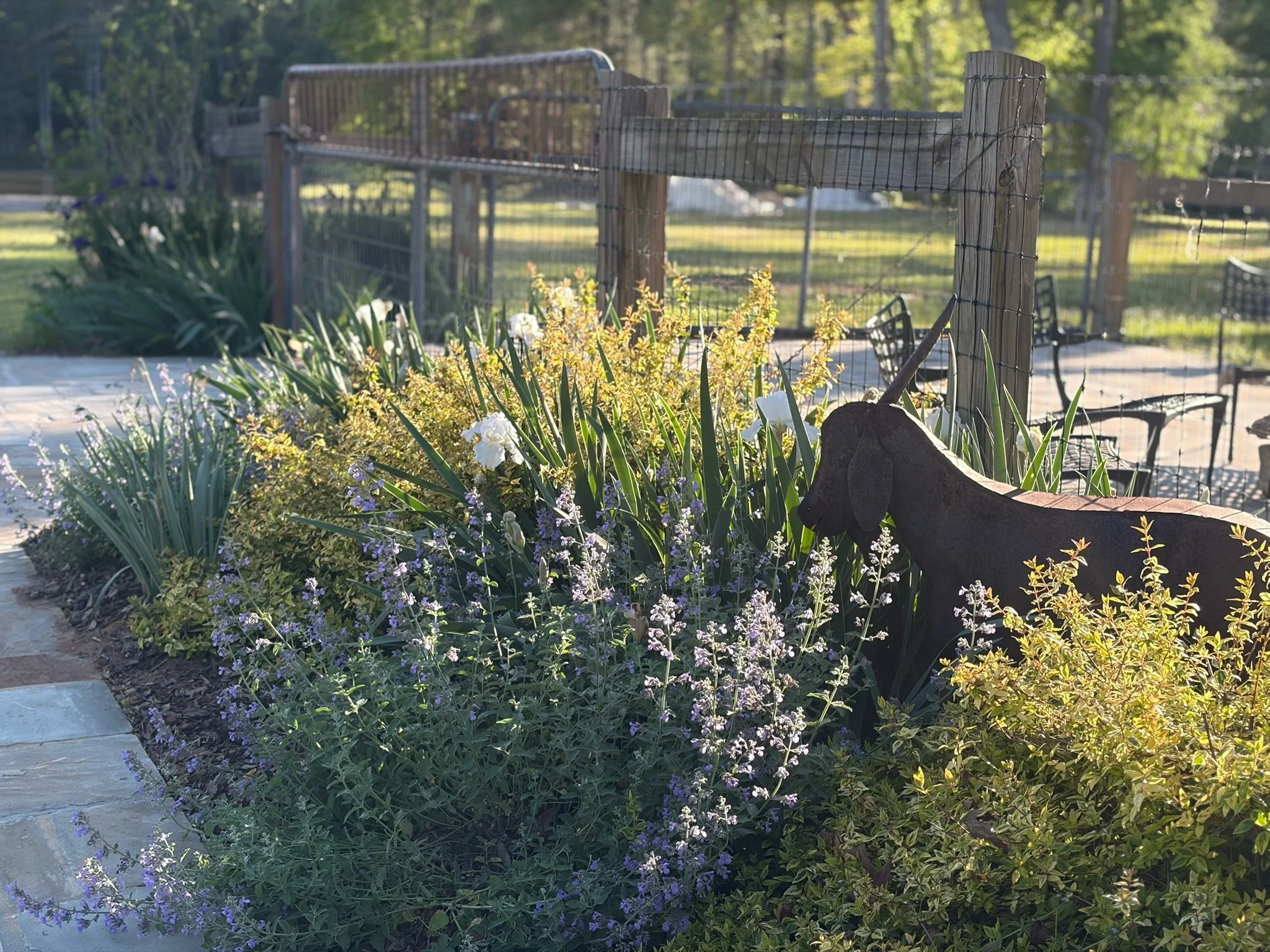 RuffwoodCountryClub_Colors_LavenderWhiteBeardedIrisGreenMetalGoatLandscaping.jpg