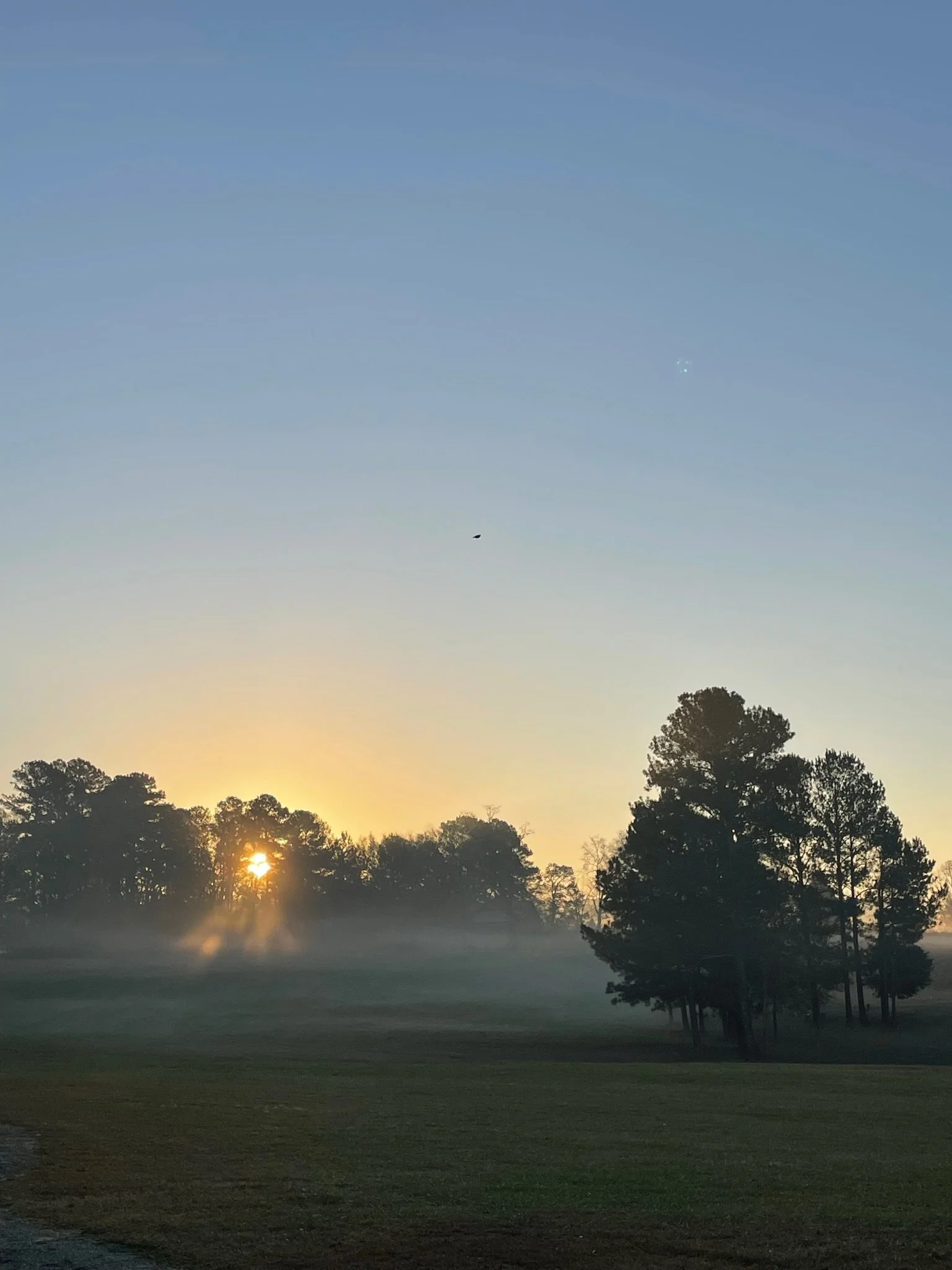 RuffwoodCountryClub_Colors_YellowBlueDawnSky.JPG