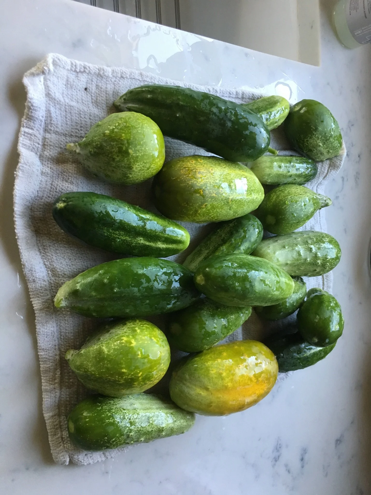 RuffwoodCountryClub_Colors_GreenCucumbers.jpeg