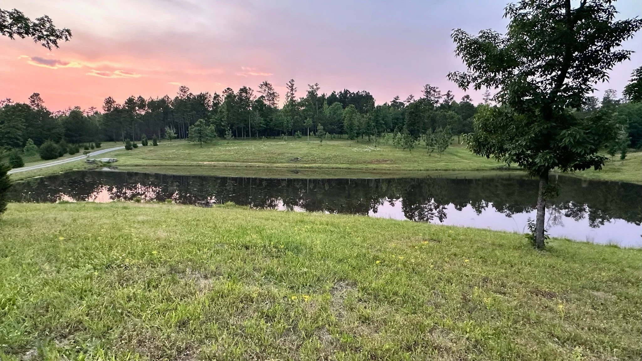 RuffwoodSunset.jpg