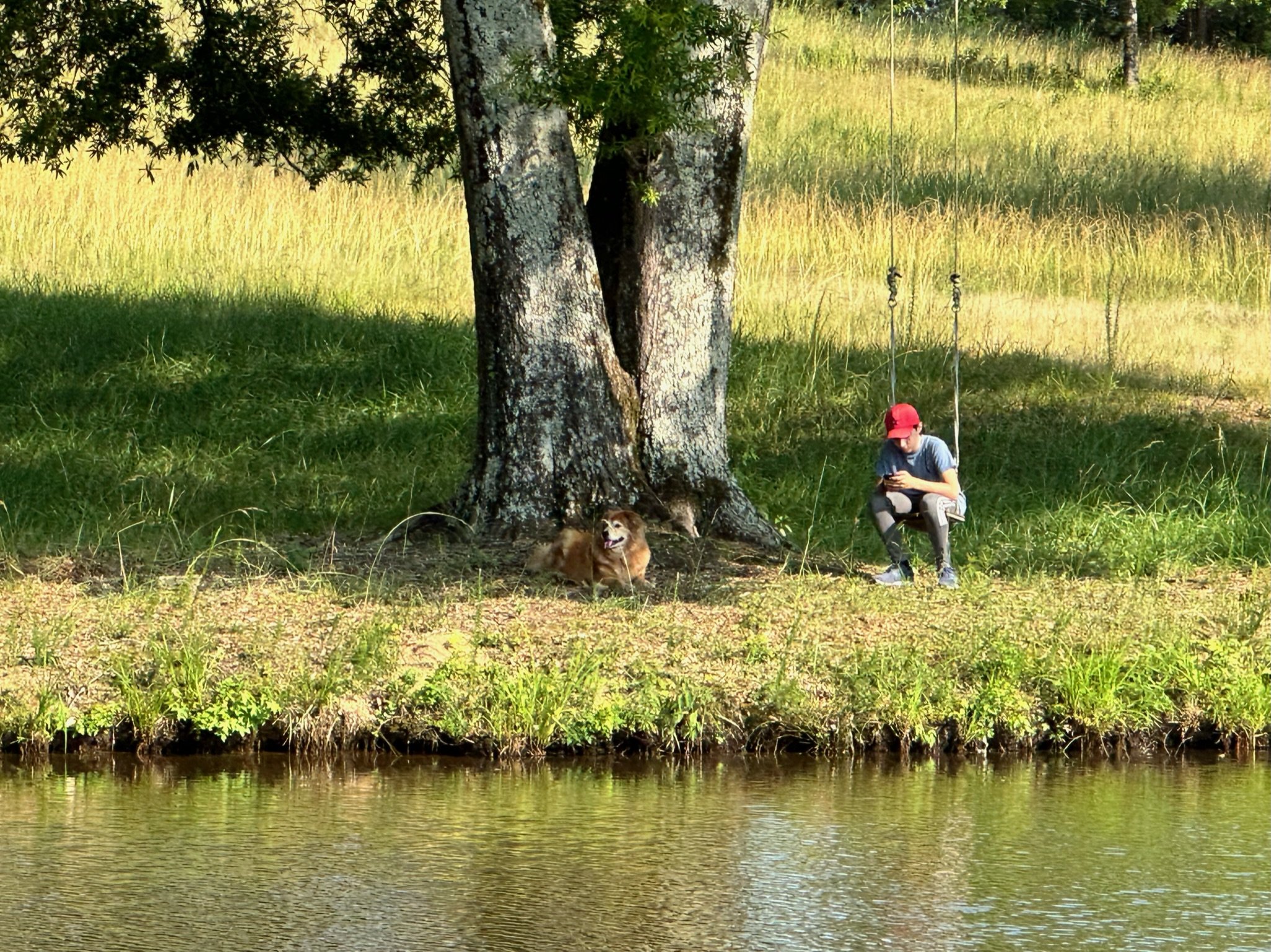 RuffwoodCountryClub_Camping_LakeSwing.JPG