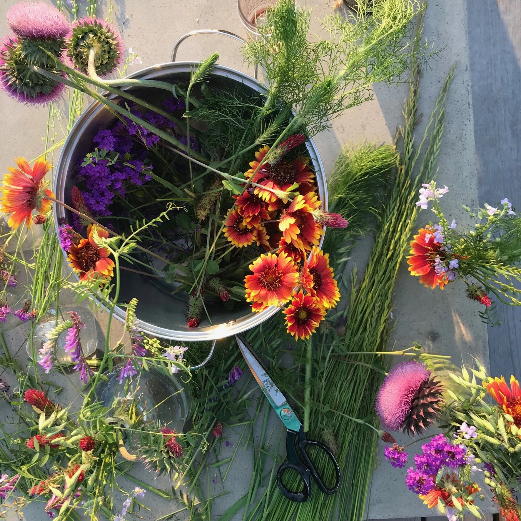 RuffwoodCountryClub_Colors_YellowOrangePurplePinkFreshCutFlowers2.jpeg