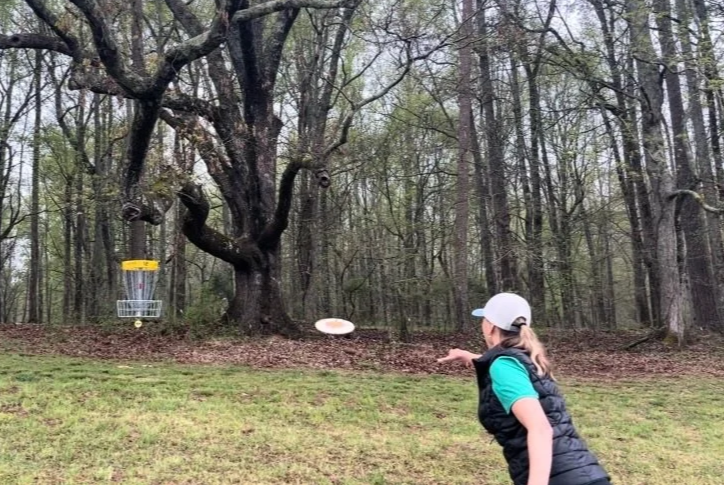 DiscGolfPut.png
