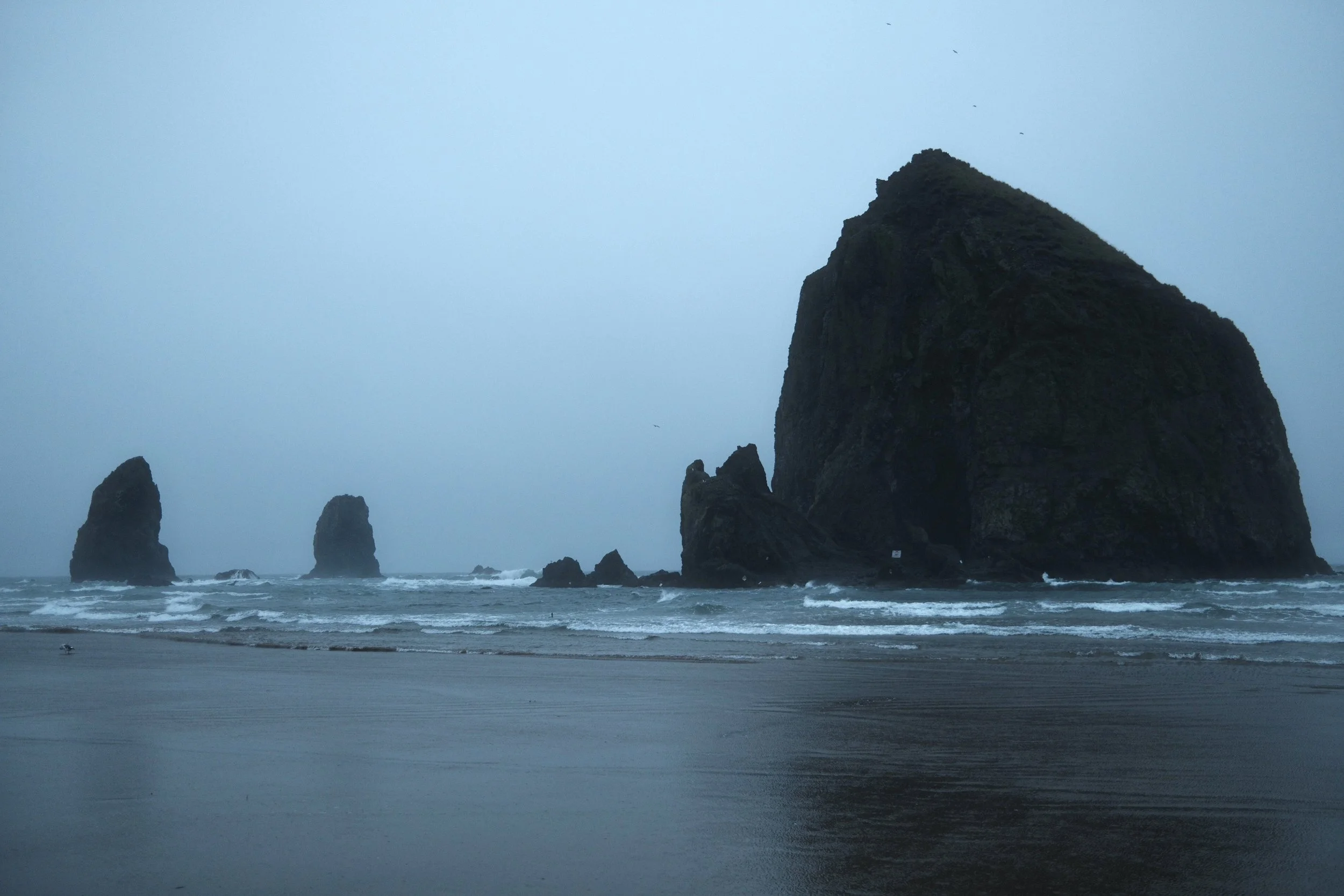 A view of the ocean with large sea stacks and rock formations along the shoreline, under a cloudy sky.