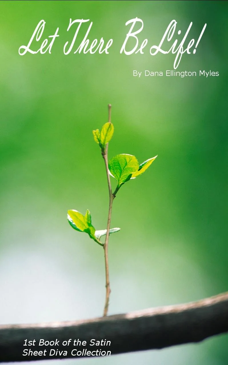 Book Cover picture complete - 10 24 08.jpg