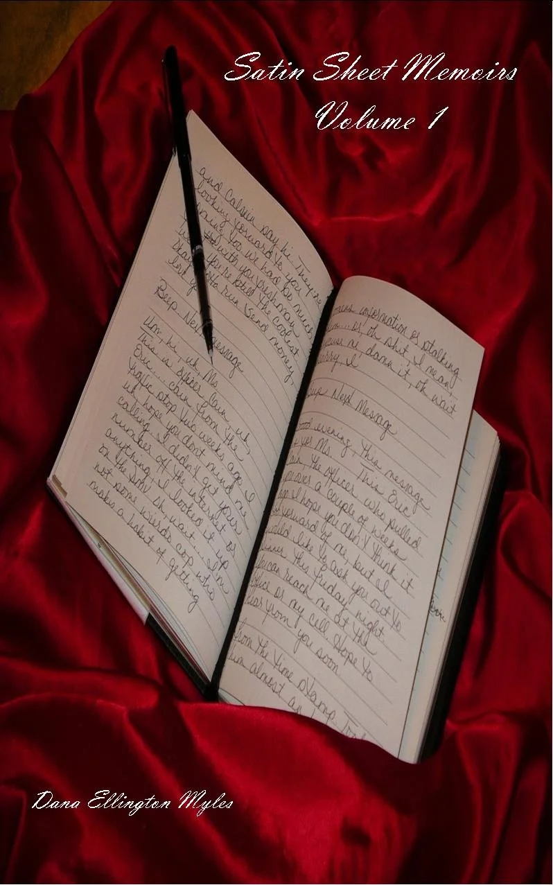 Satin Sheets Vol 1 Book Cover.jpg