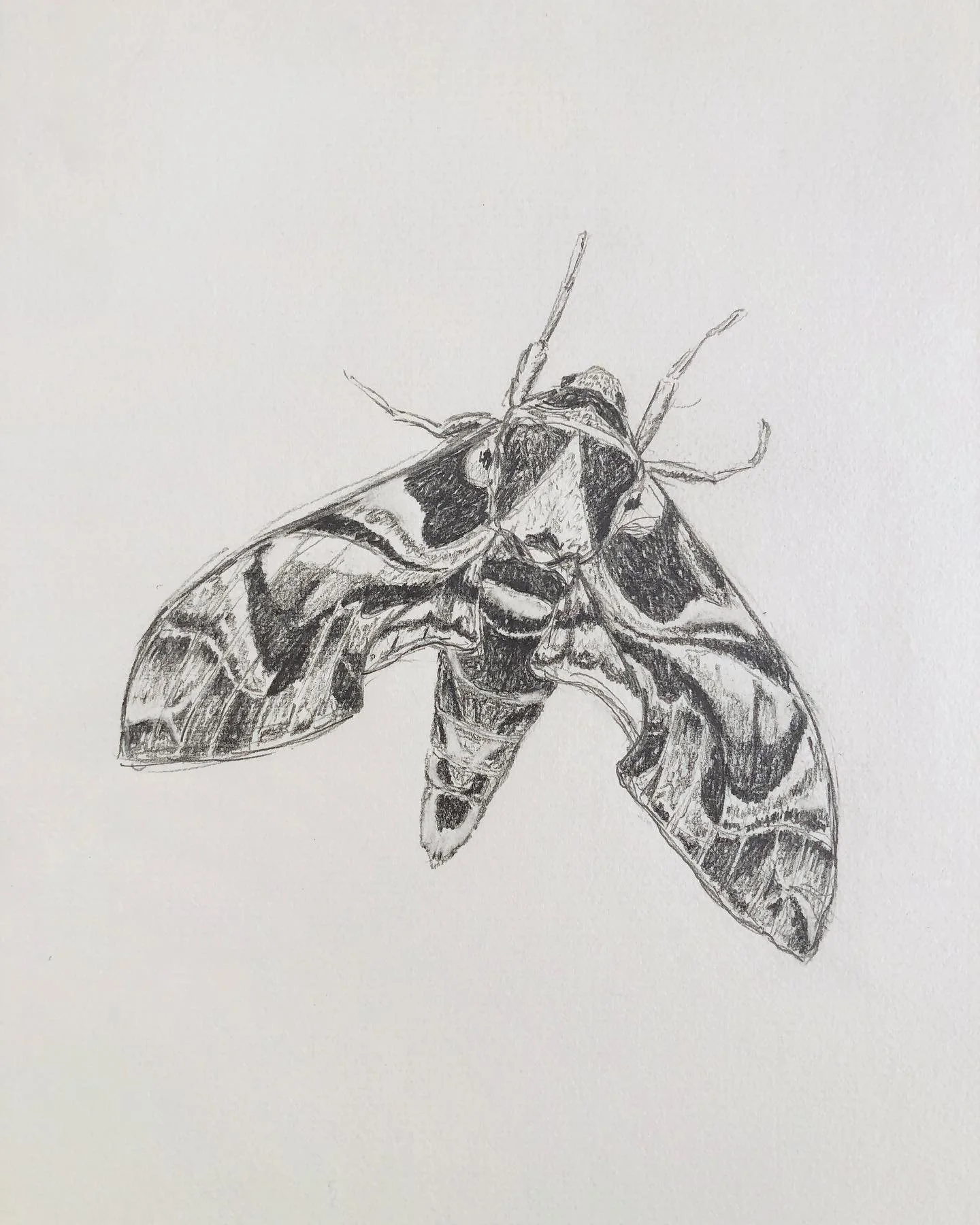 &ldquo;Look for the most simple solution&rdquo; 🦋💖
I listened to an episode of Meg Kissack&rsquo;s podcast The Daily Pep today, and she spoke about how finding the simple route can be the antidote to our overthinking and over-complicating of things