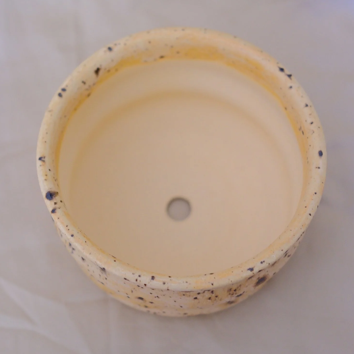 DSCF0893.png