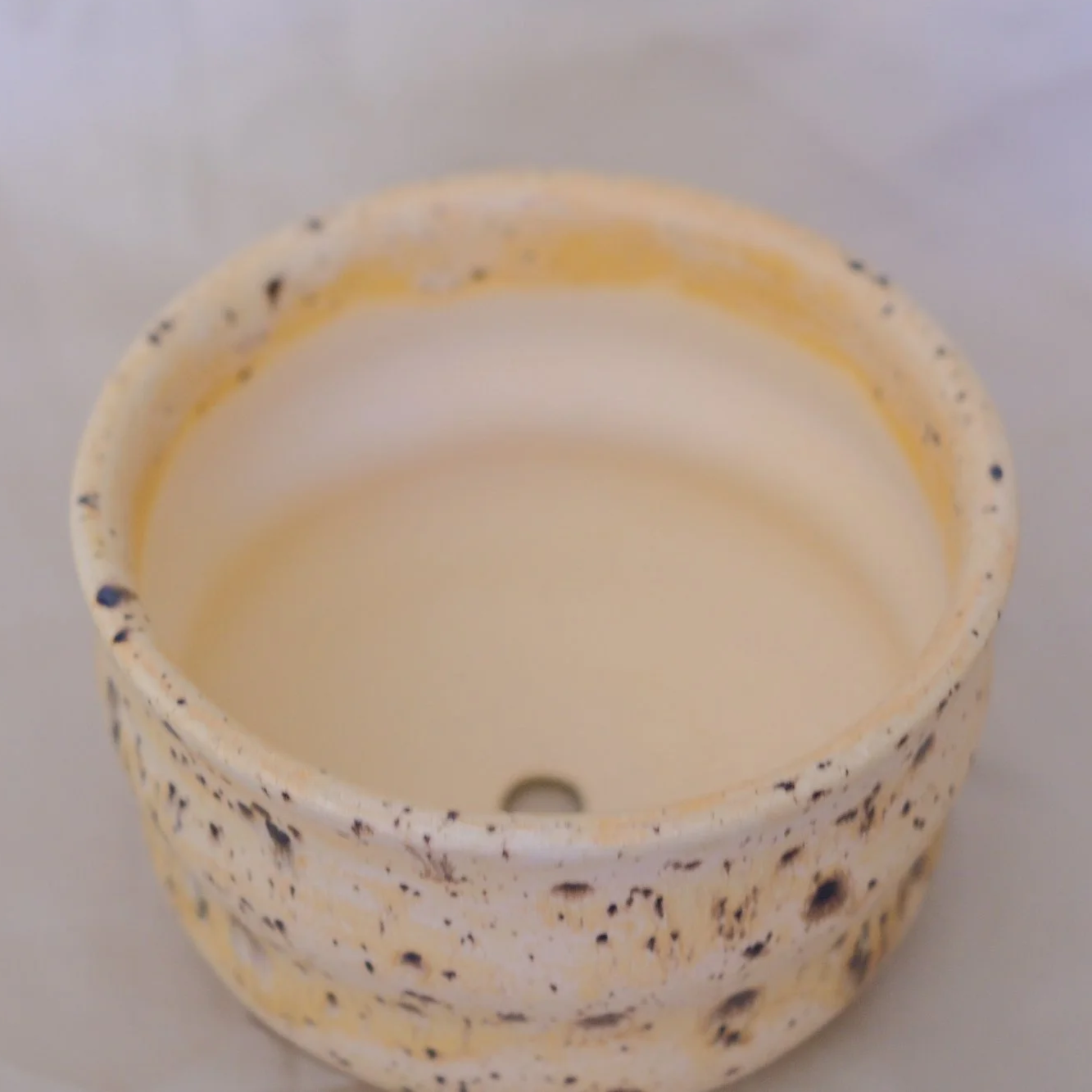 DSCF0892.png