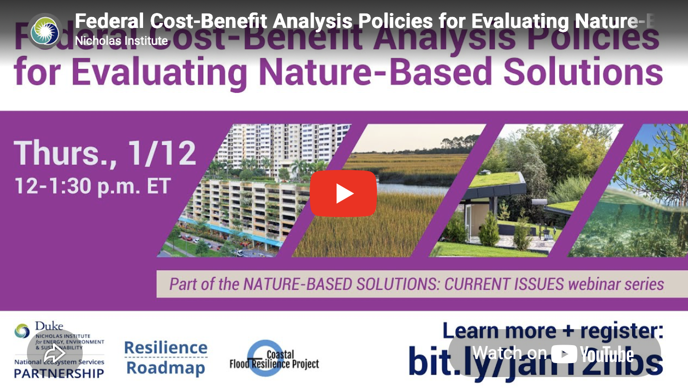 Federal Cost-Benefit Analysis Policies for Evaluating Nature-Based Solutions