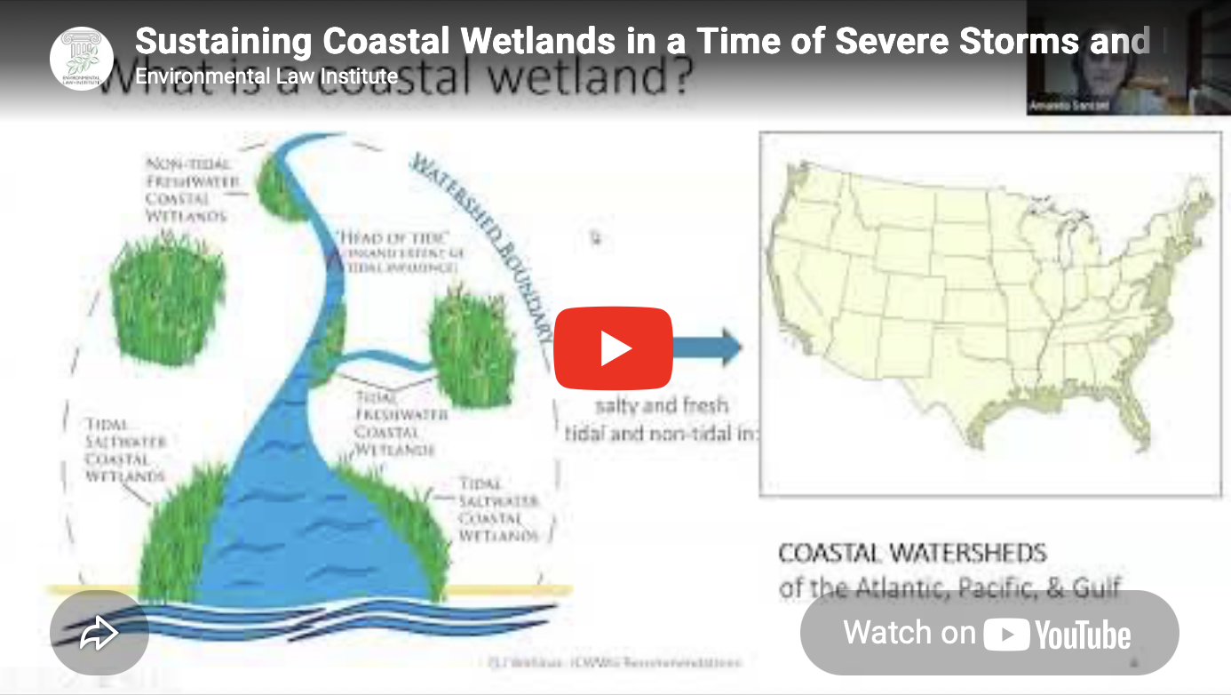 Sustaining Coastal Wetlands in a Time of Severe Storms and Rising Seas