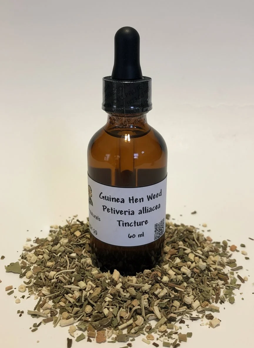 Jamaican Guinea Hen Weed (Petiveria alliacea) Tincture (2oz/60ml)