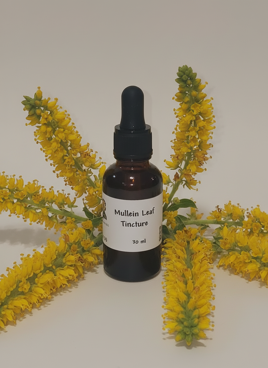 Mullein Tincture (1oz/30ml)