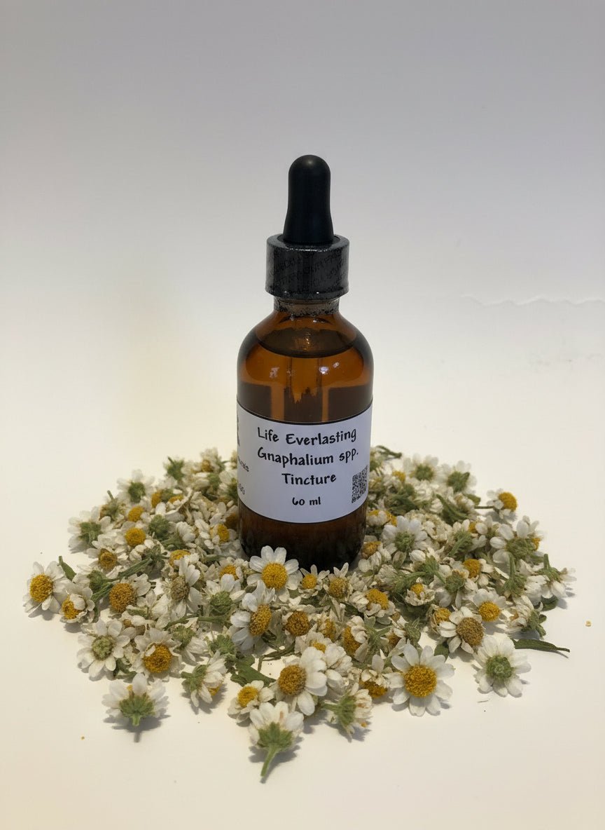 Life Everlasting Tincture (2oz/60ml)