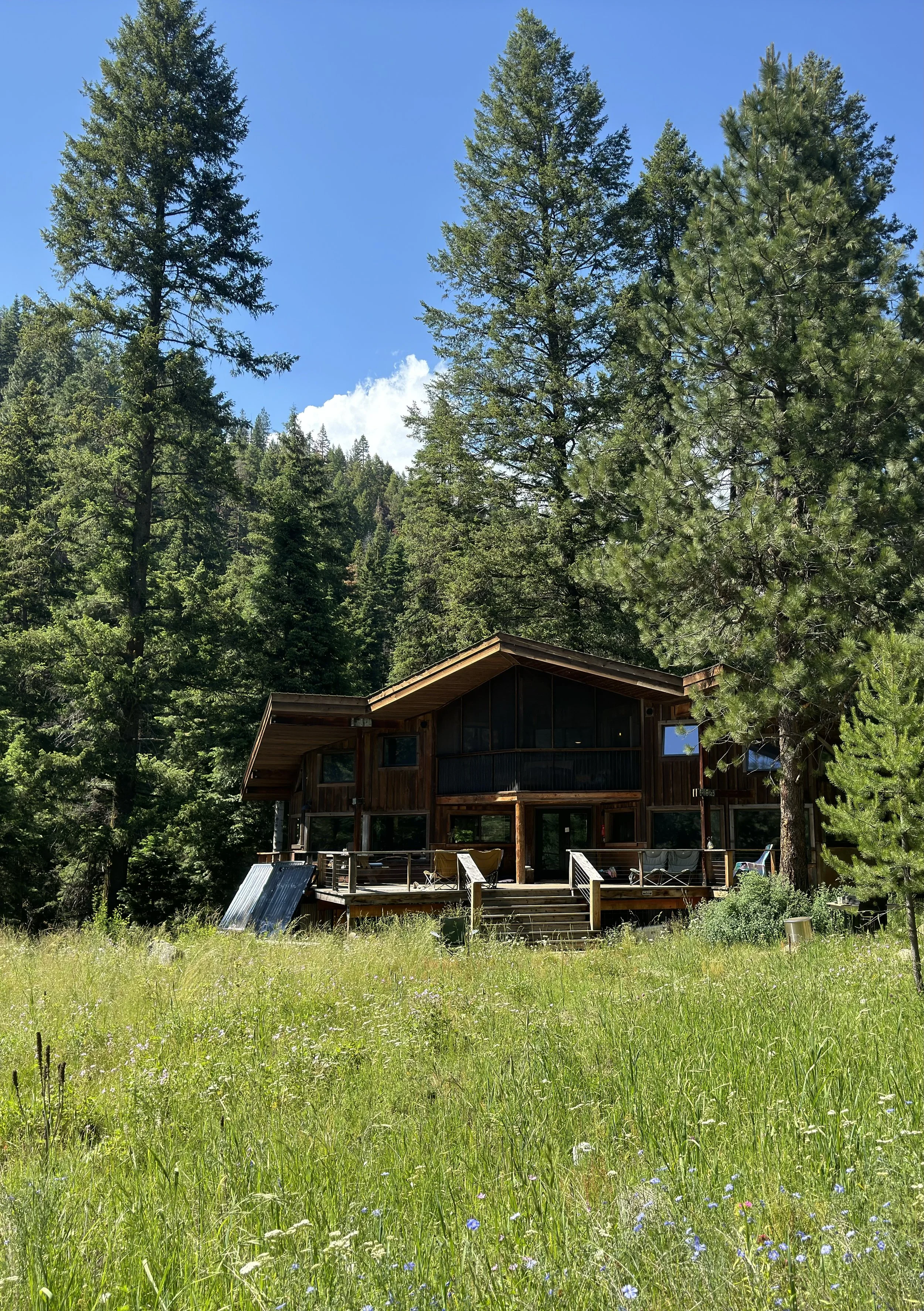 A wooden house with large windows and a deck, surrounded by tall pine trees on a sunny day with clear blue sky.