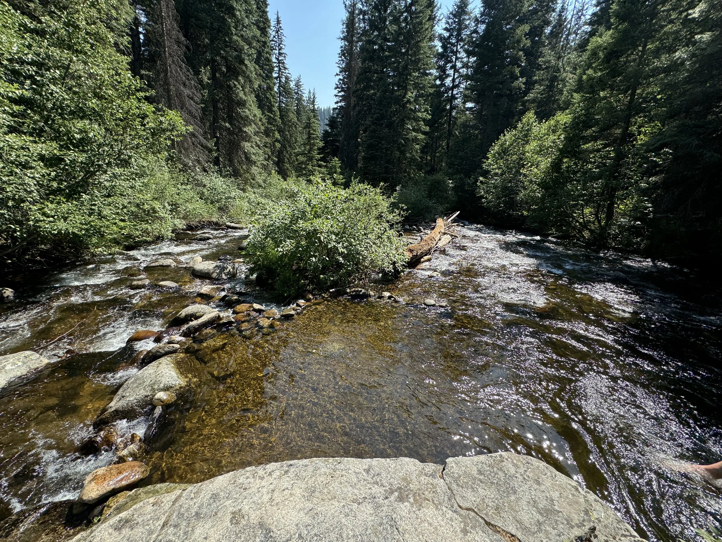 One of many swimming holes along Goose Creek.