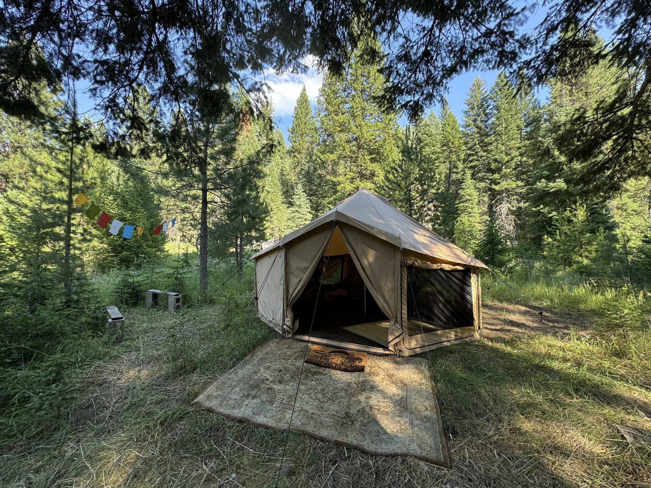 Dome tents are set among the trees overlooking the river.