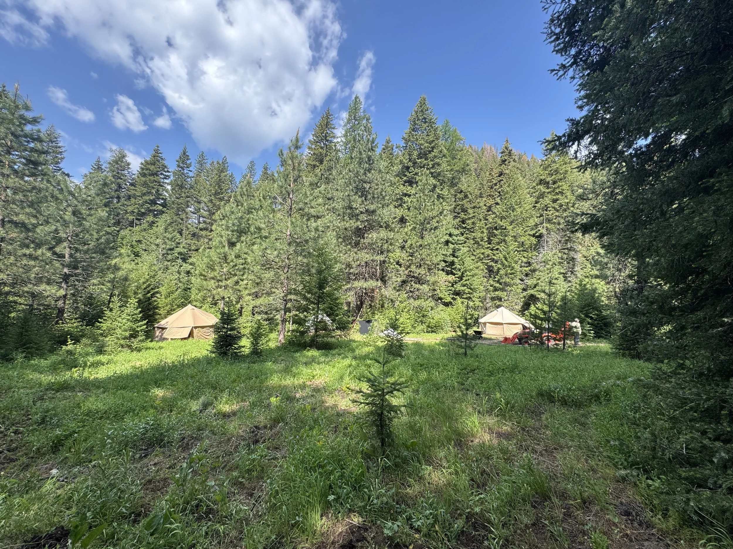 Camping area with multiple dome tents.