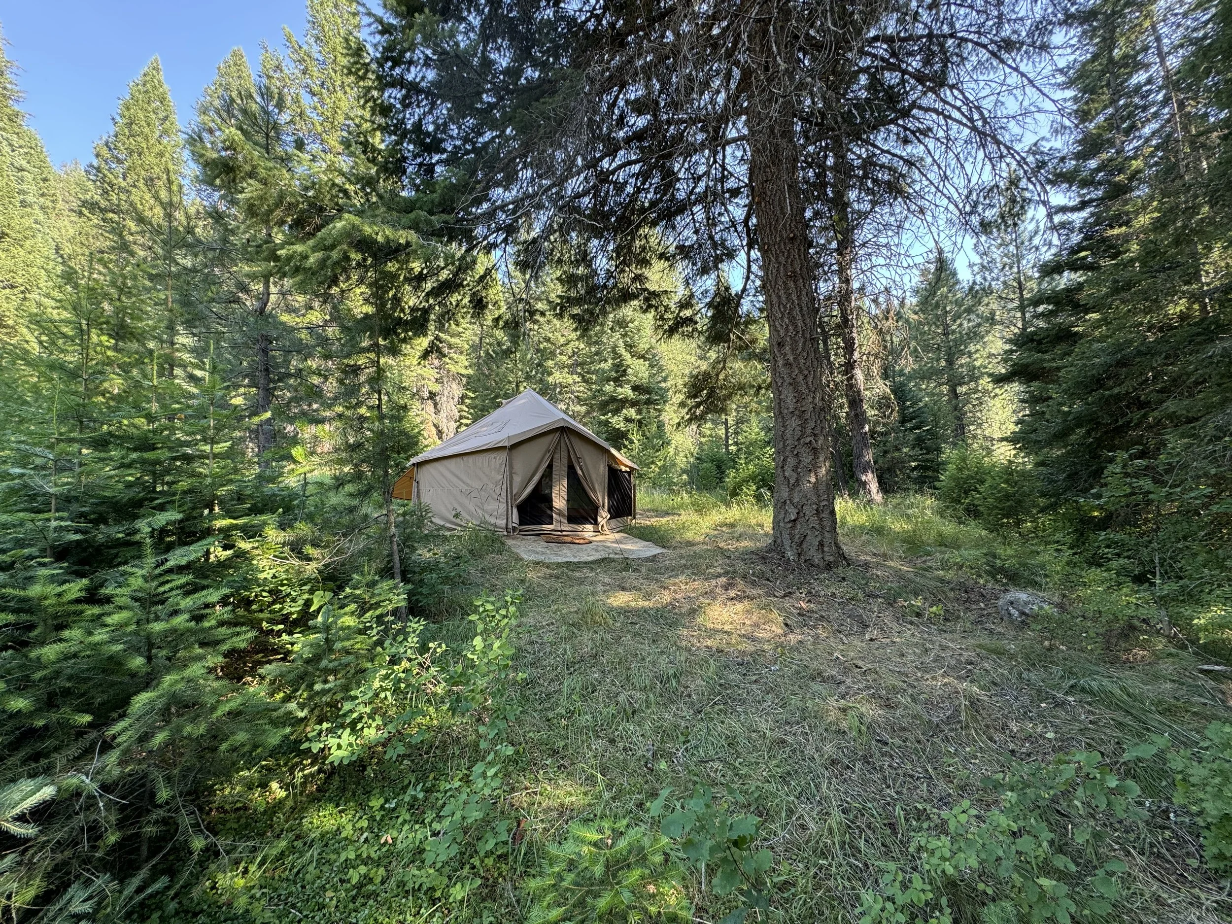 Dome tent set among the trees. Nearby Payette National Forest is open for exploring.