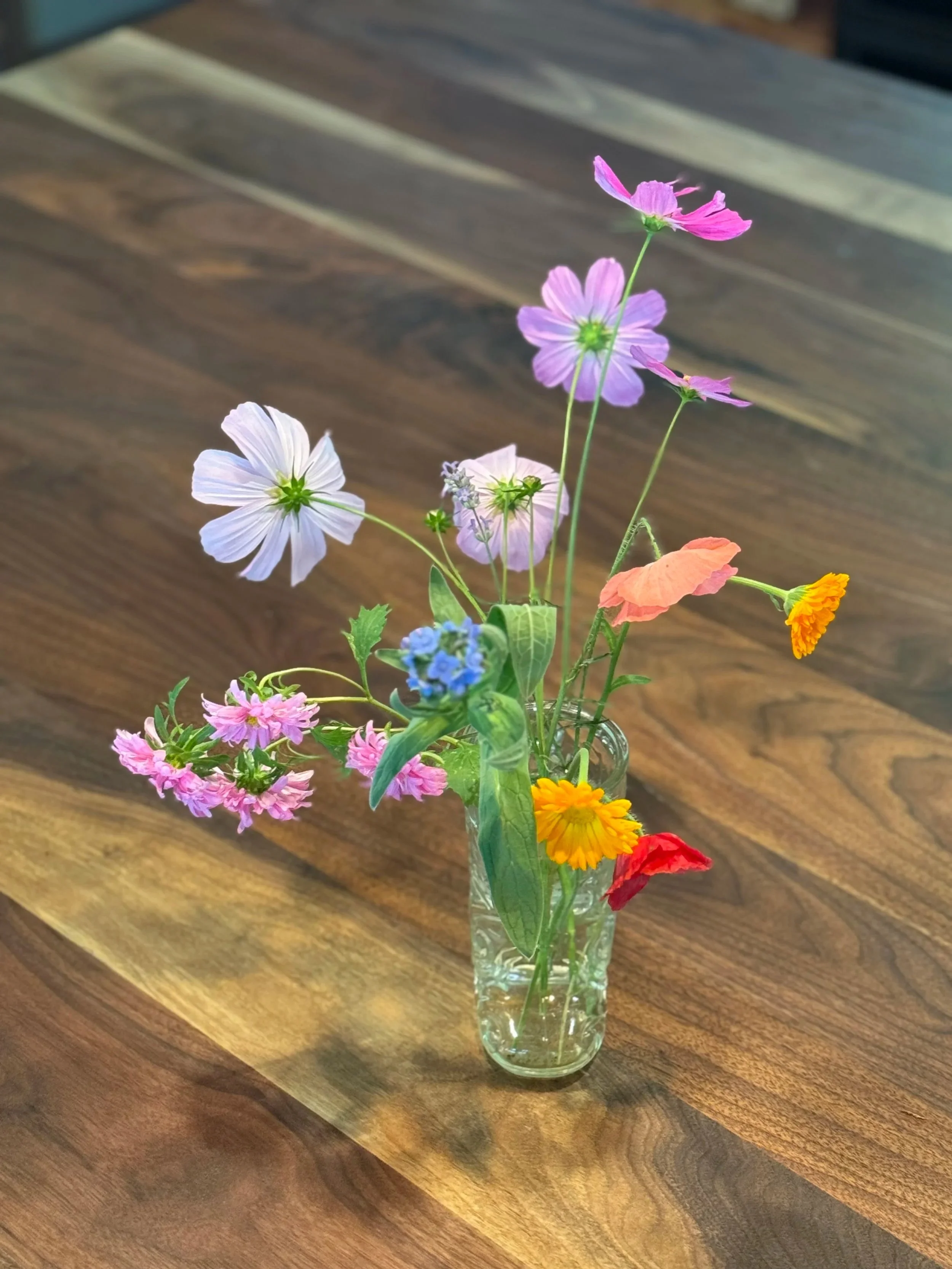 Colorful wildflowers as a source for artist inspiration