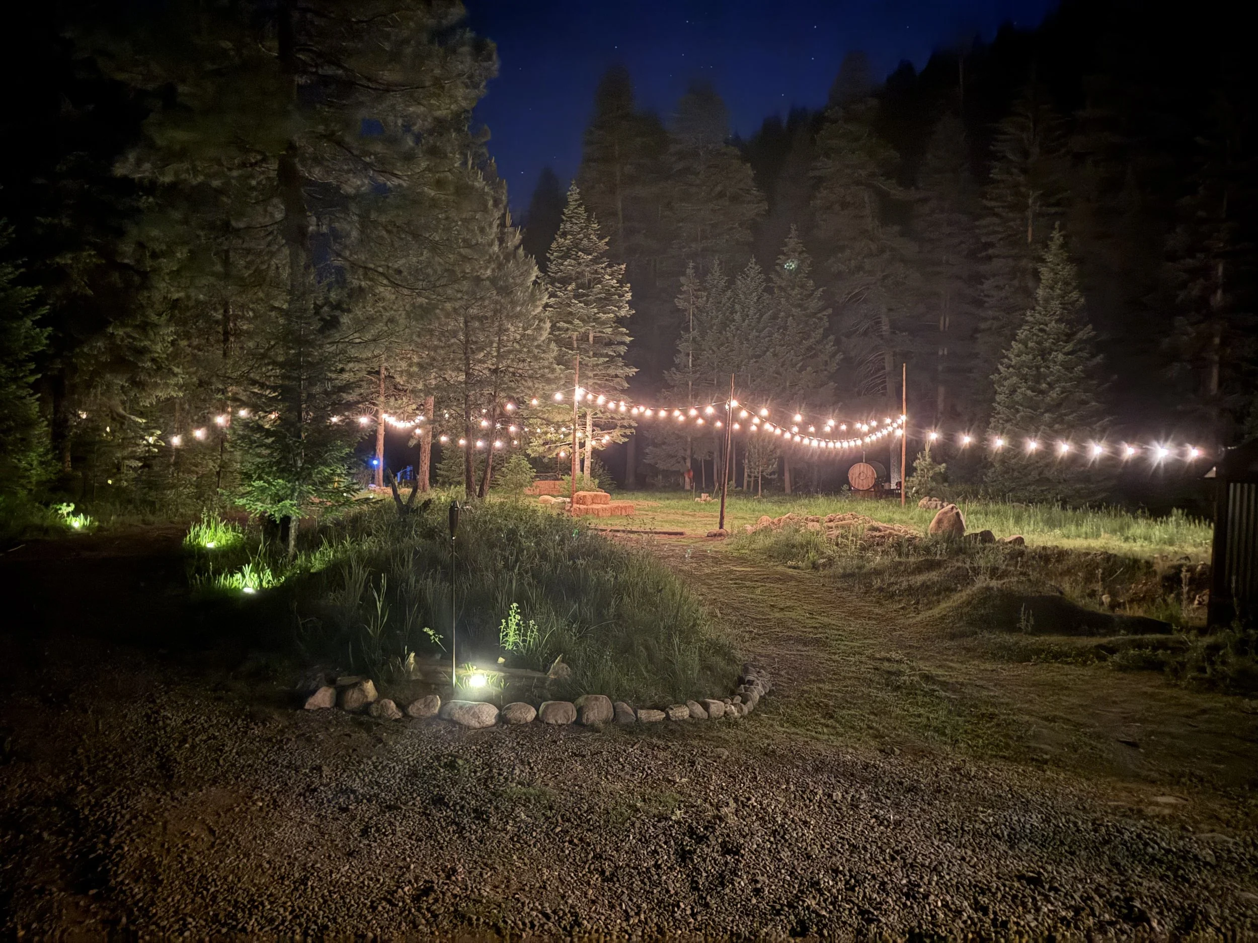 Nighttime outdoor scene with string lights hanging across a grassy area surrounded by tall trees and a gravel pathway.