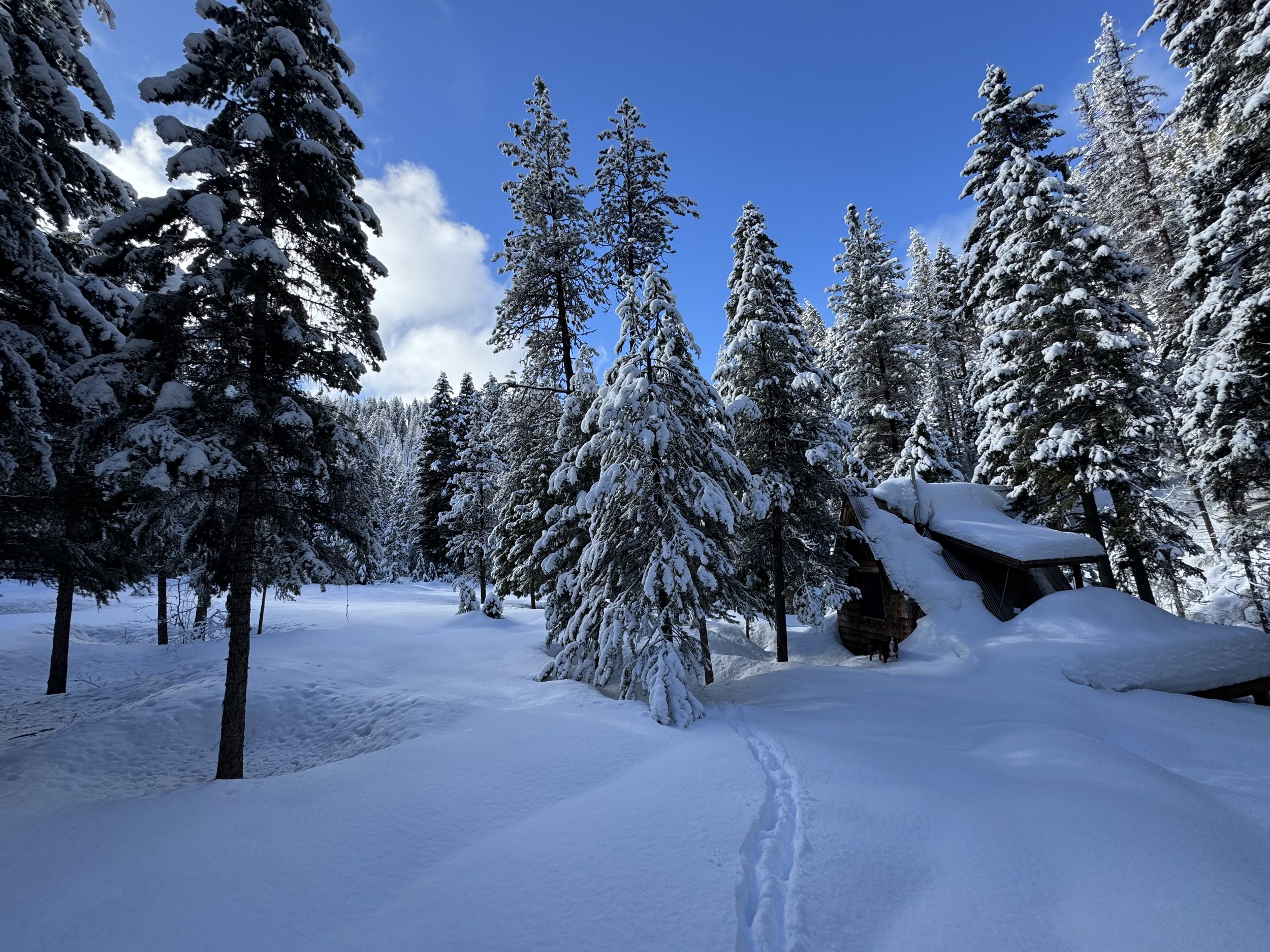 Winter at Goose Creek Haven provides generous snow fall.