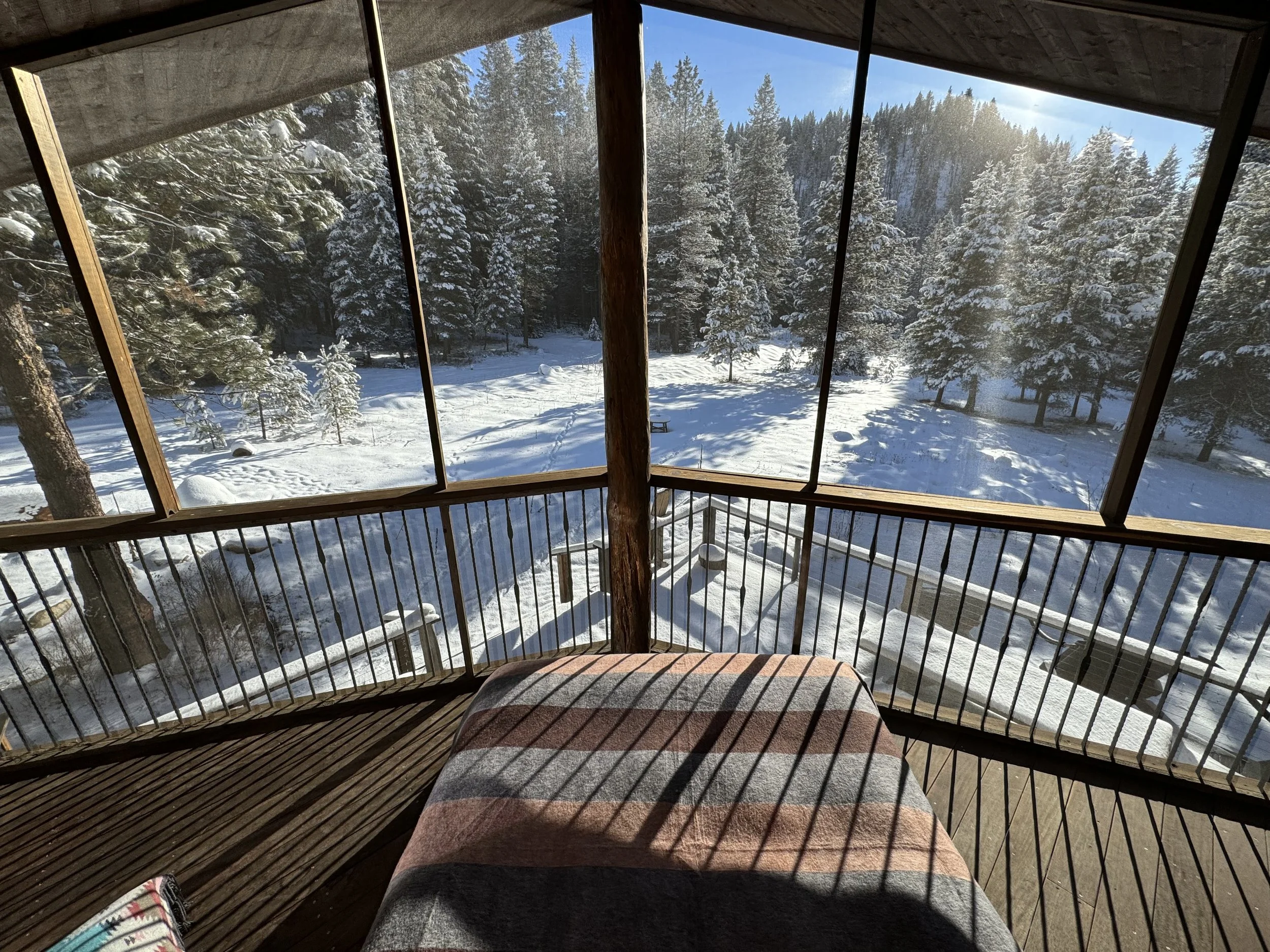 View from Screened in porch. Open to outside air.