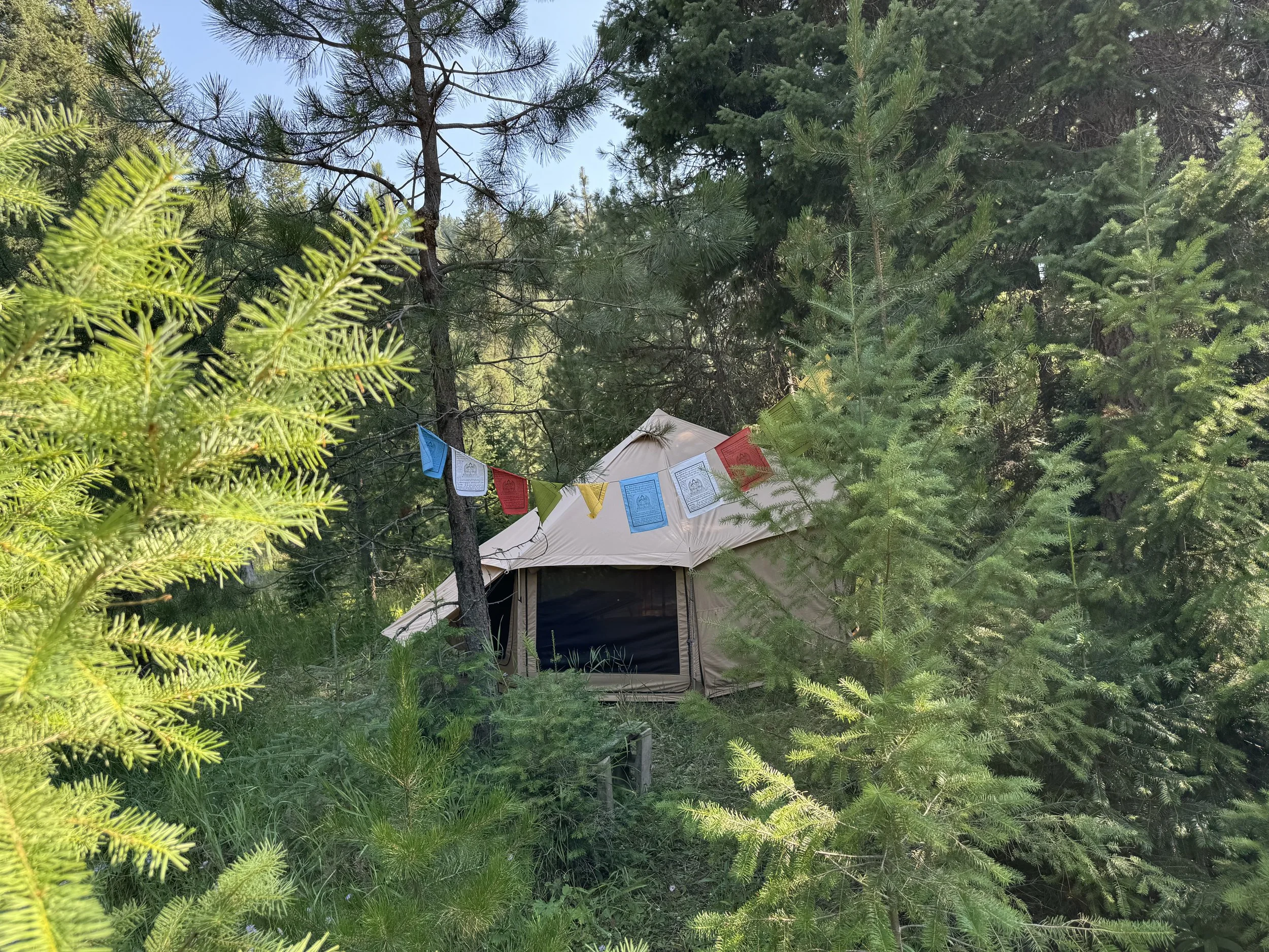 Dome tent seen through the forest with prayer flags.