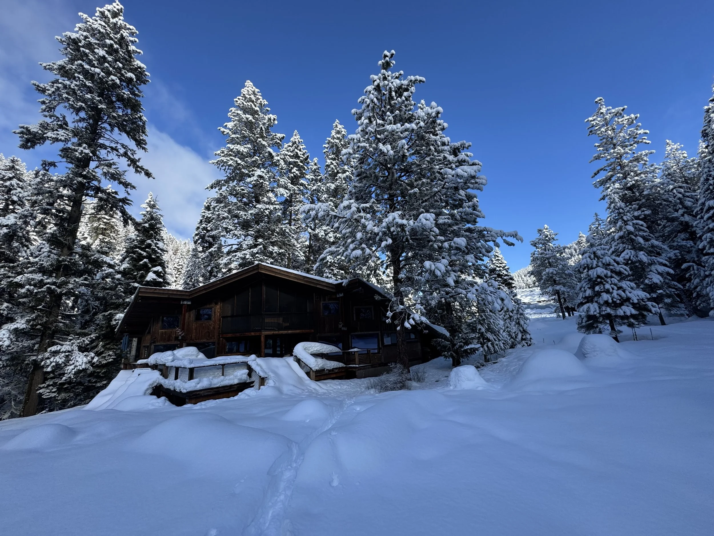 A wooden cabin surrounded by snow-covered trees in a winter landscape under a blue sky.