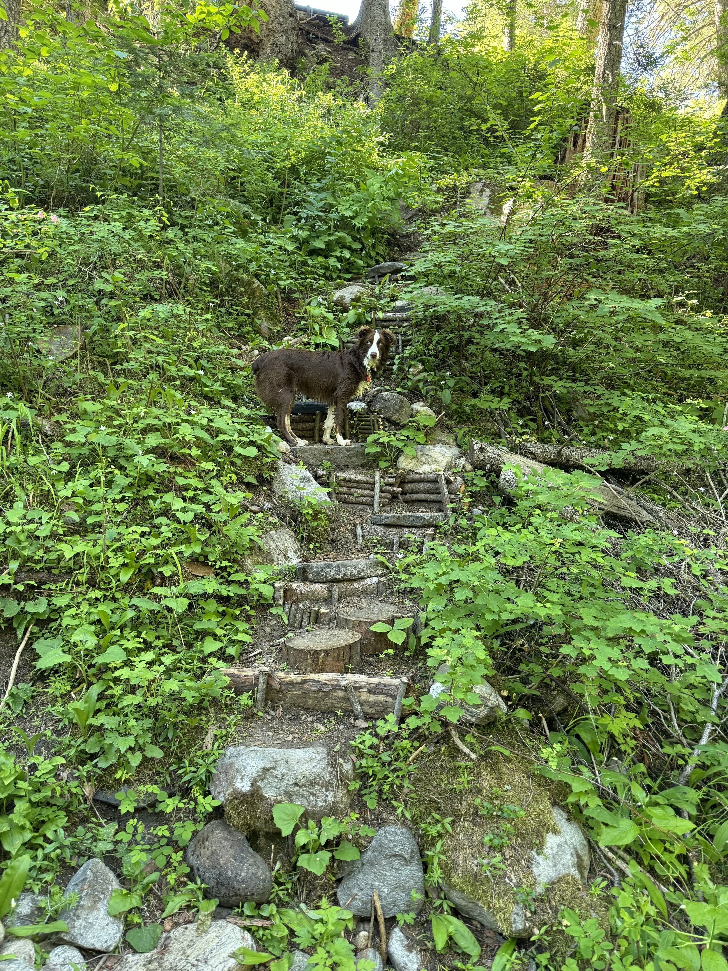 Multiple walking paths and trails await for you to explore.