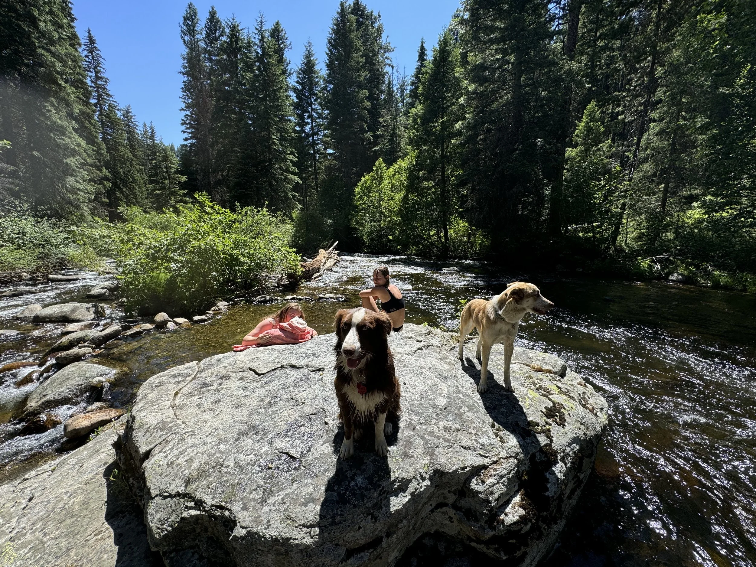 Hot day in summer cooling off in one of the swimming holes.