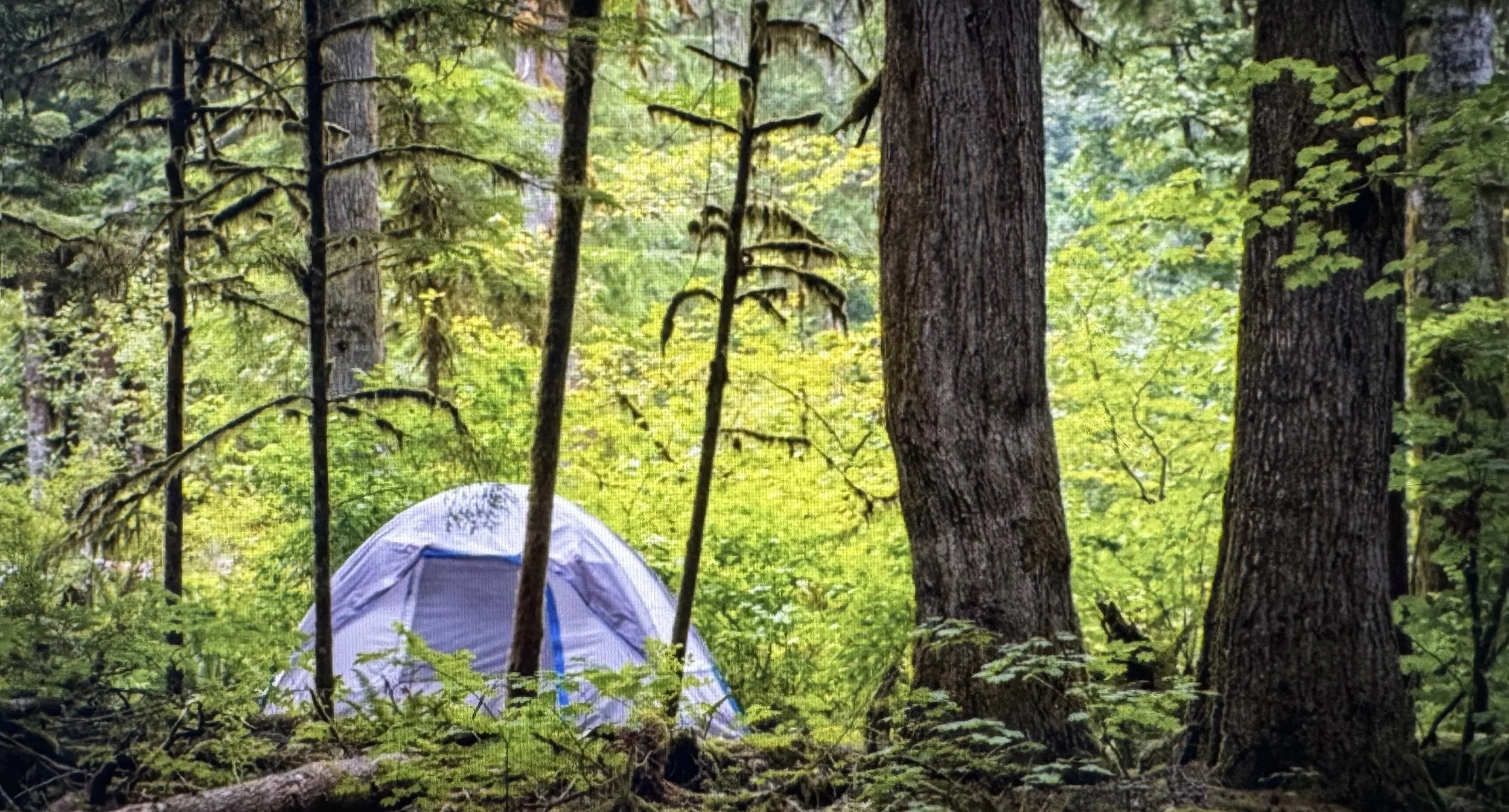 Many campsites are available for your own tent or backpacking setup.