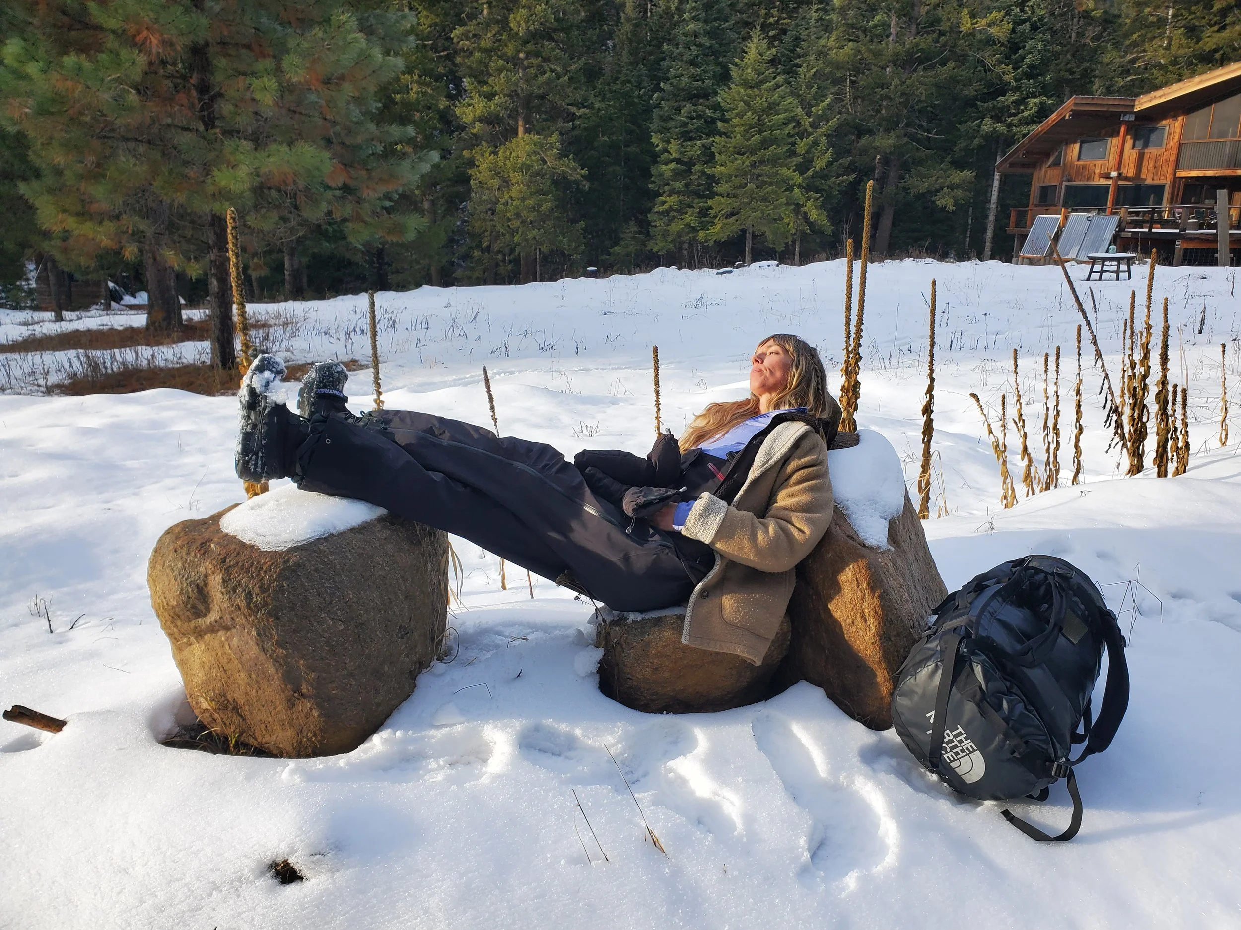 Basking in winters glory.