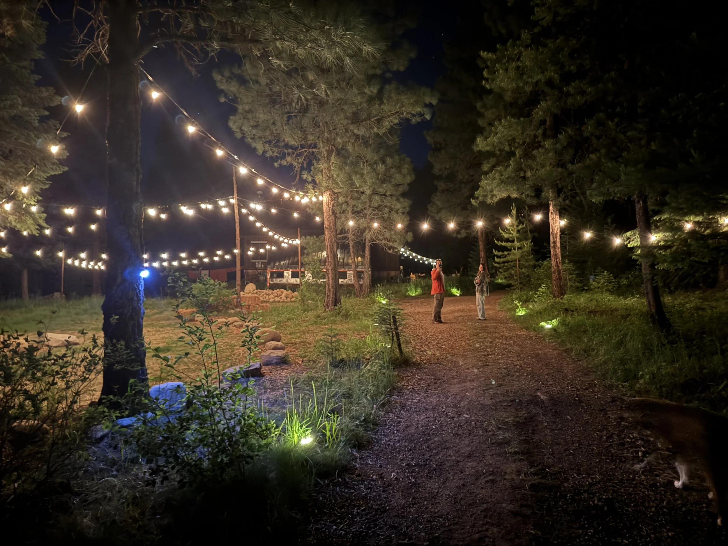 Large common area that lights up at night.