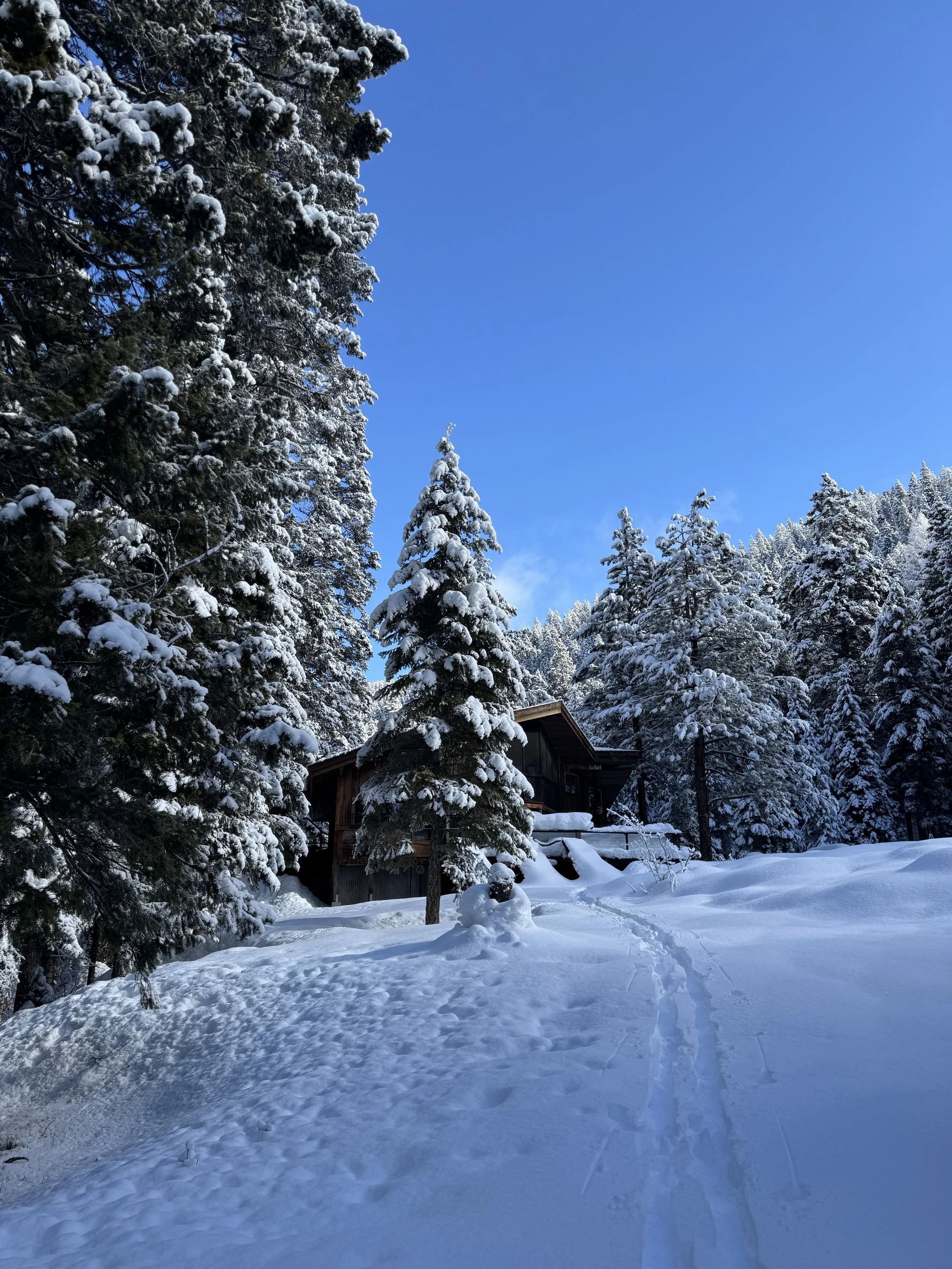 Winter at the lodge.