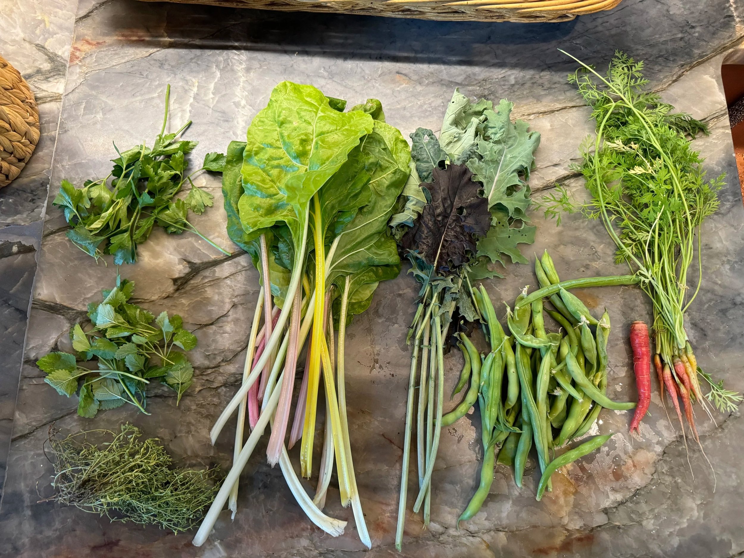 Fresh herbs and vegetables are grown in GCH Greenhouse.